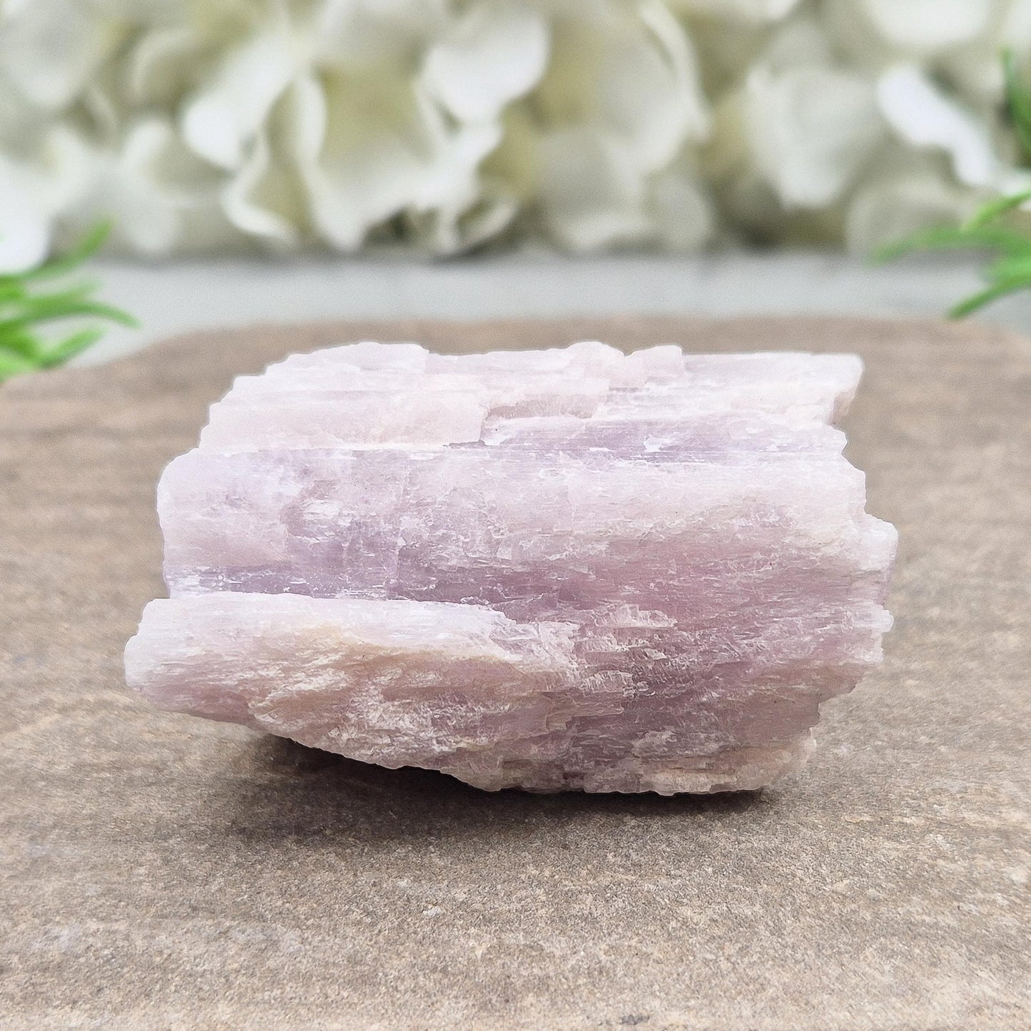 Natural Kunzite Crystal - Soft Pink-Lilac Gemstone