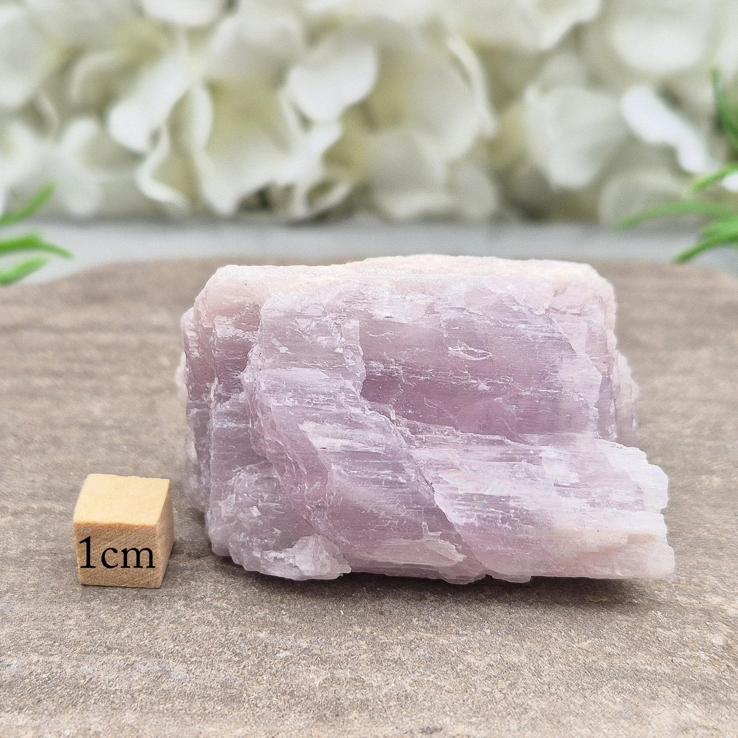 Natural Kunzite Crystal - Soft Pink-Lilac Gemstone