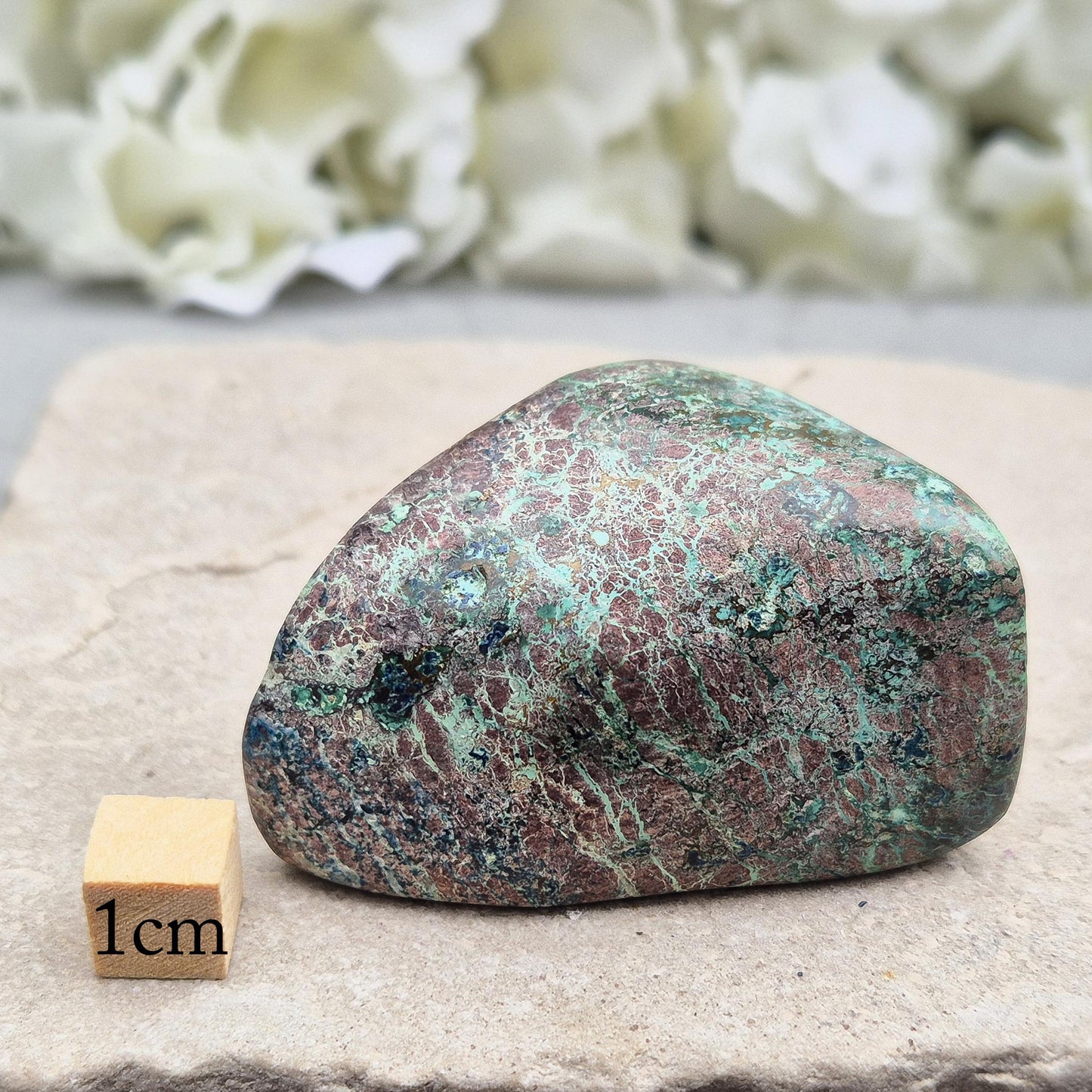 Shattuckite with Chrysocolla & Cuprite in polished form. Vivid copper-rich crystal blend for insight, emotional harmony, and steady grounding.