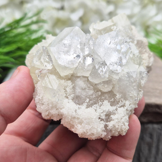 Apophyllite Crystal Cluster - Natural Zeolite