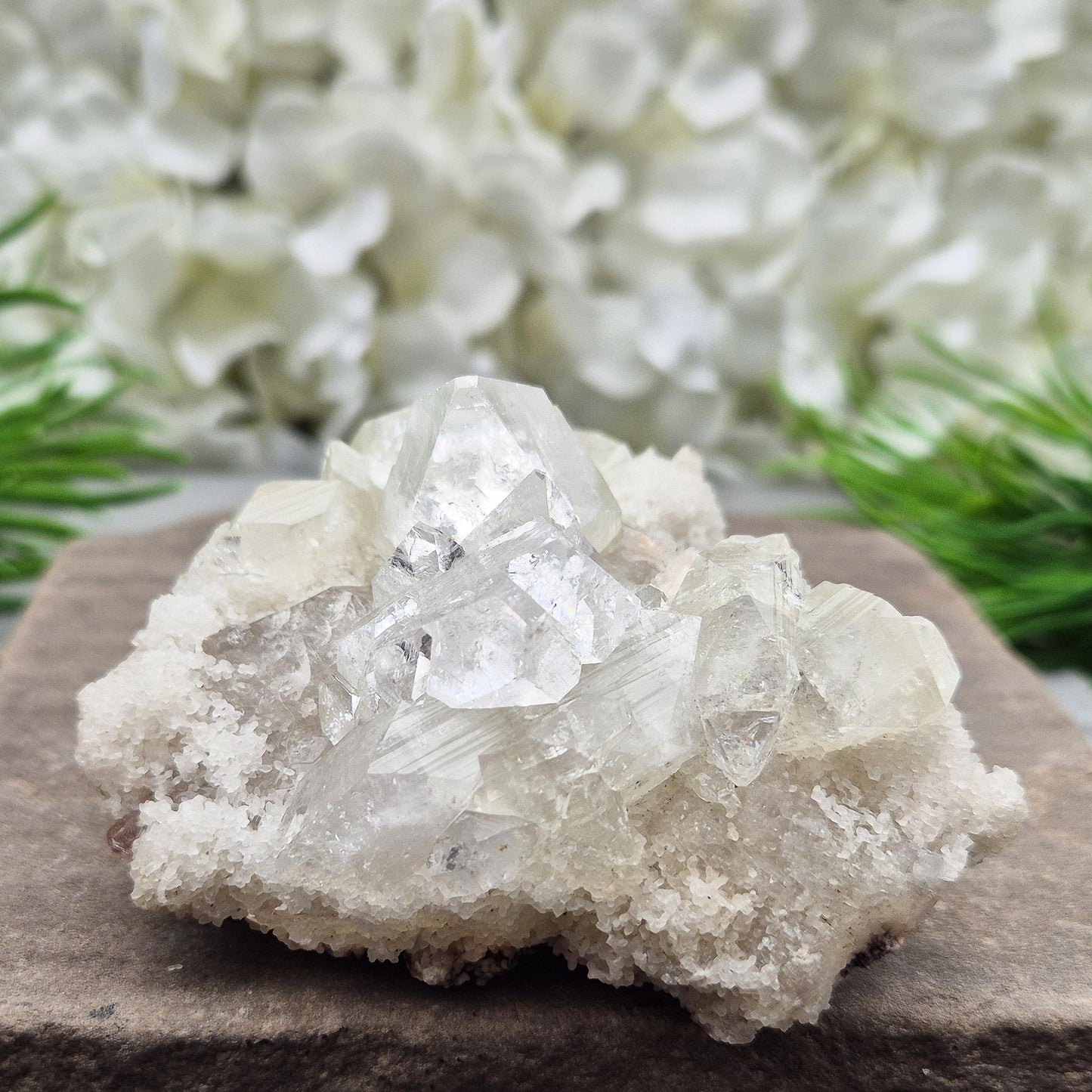 Apophyllite Crystal Cluster - Natural Zeolite