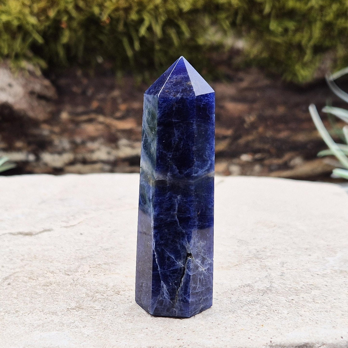 Sodalite Point – Inspires clarity, balance & confidence. Ideal for focus, reflection & crystal collections. Beautiful deep blue hues. 