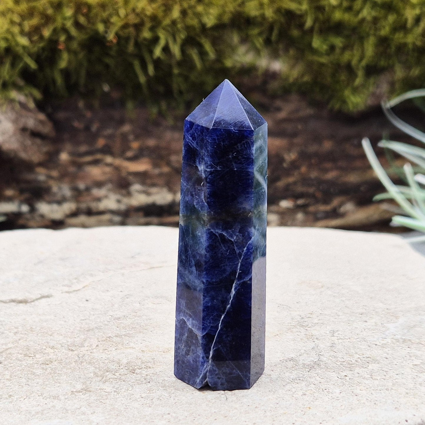Sodalite Point – Inspires clarity, balance & confidence. Ideal for focus, reflection & crystal collections. Beautiful deep blue hues. 