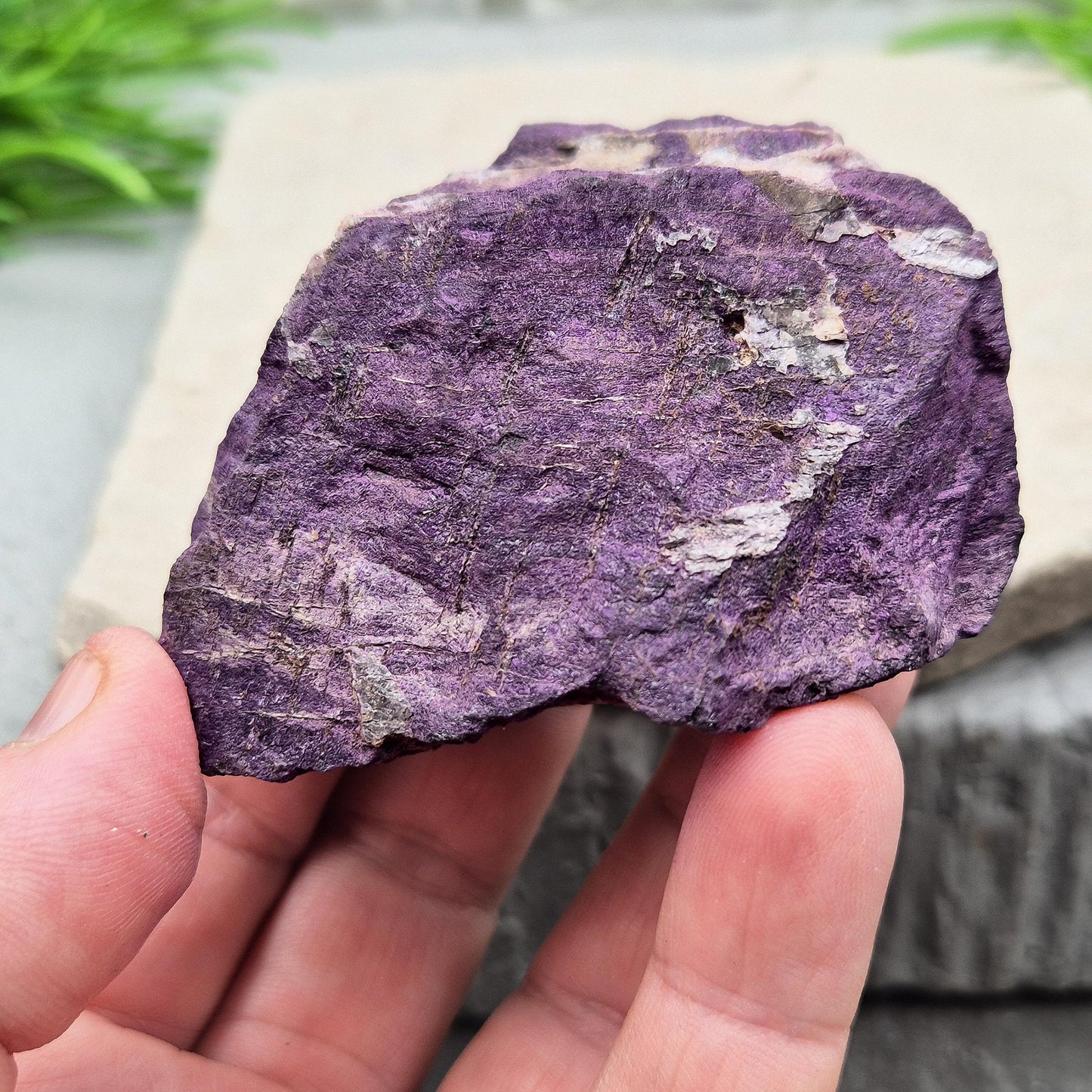 Purpurite Crystal, Natural | Speak Your Truth & Break Old Patterns | Crystal Collection Special
