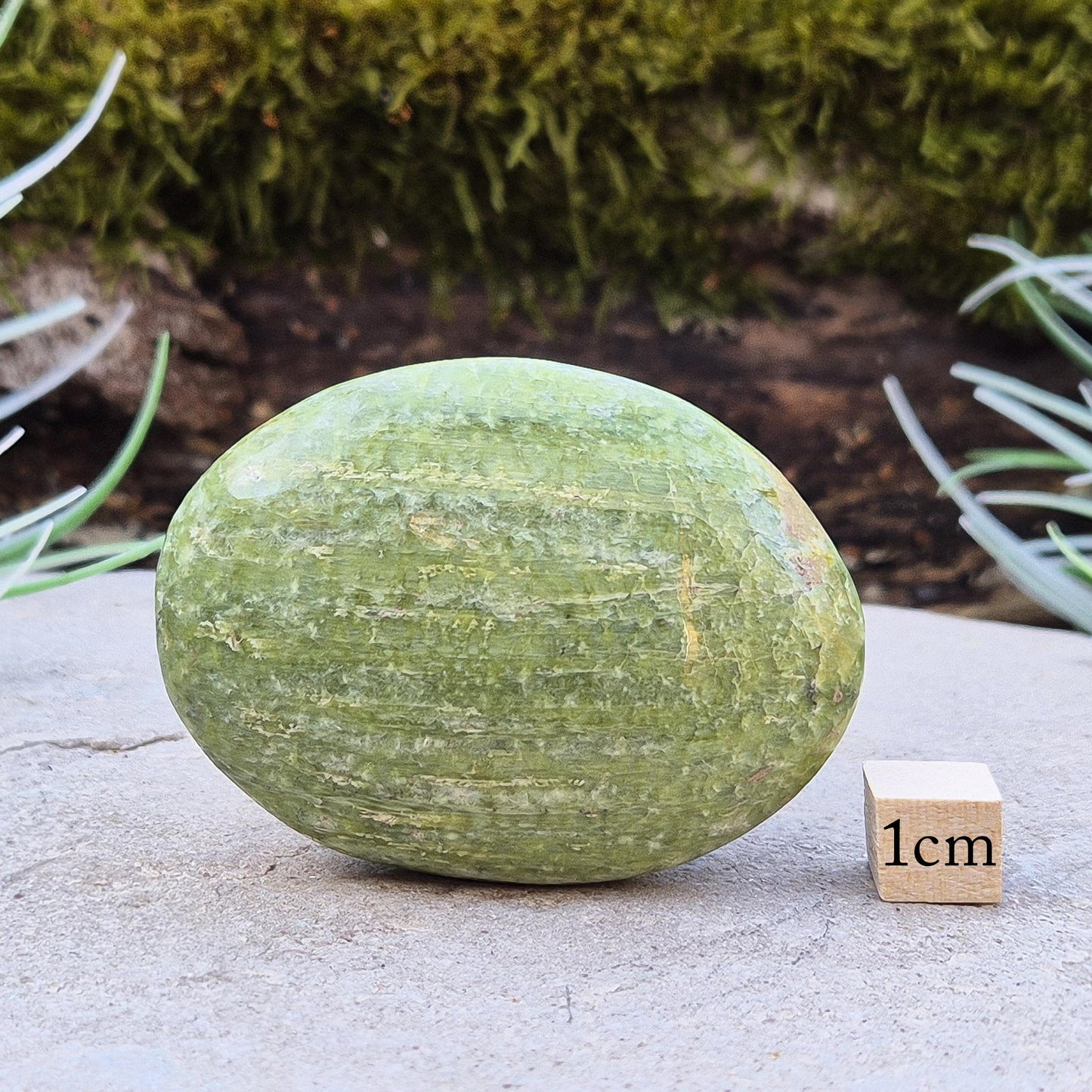 Tremolite palm stone – A polished crystal, perfect for mindful practices, promoting tranquility, and adding a serene touch to any space.