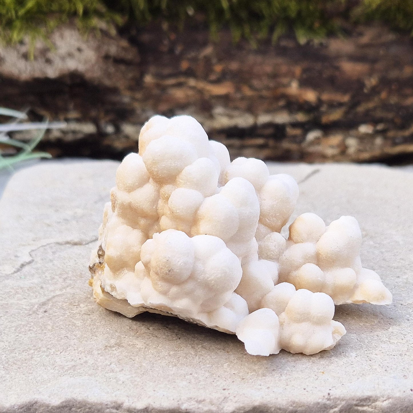 Cave Calcite Crystal, Natural Aragonite Cluster