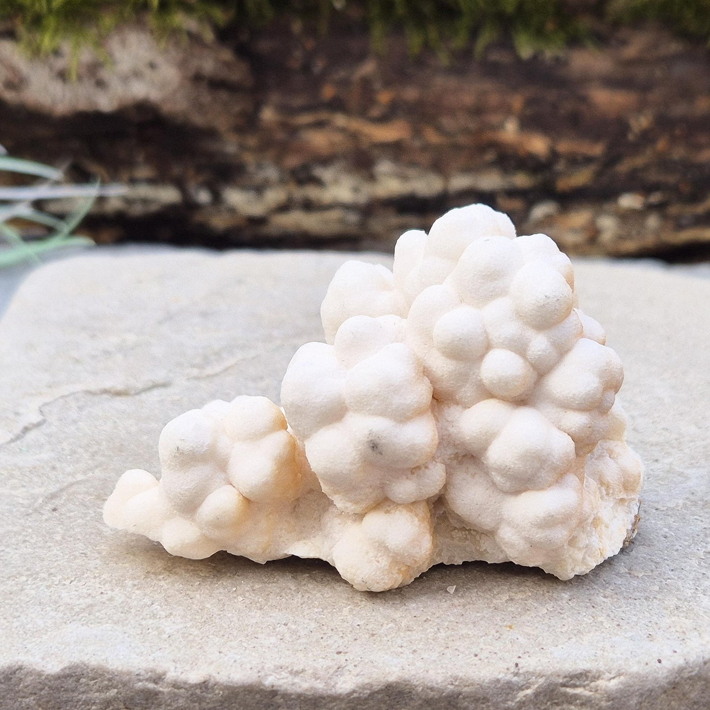 Cave Calcite Crystal, Natural Aragonite Cluster