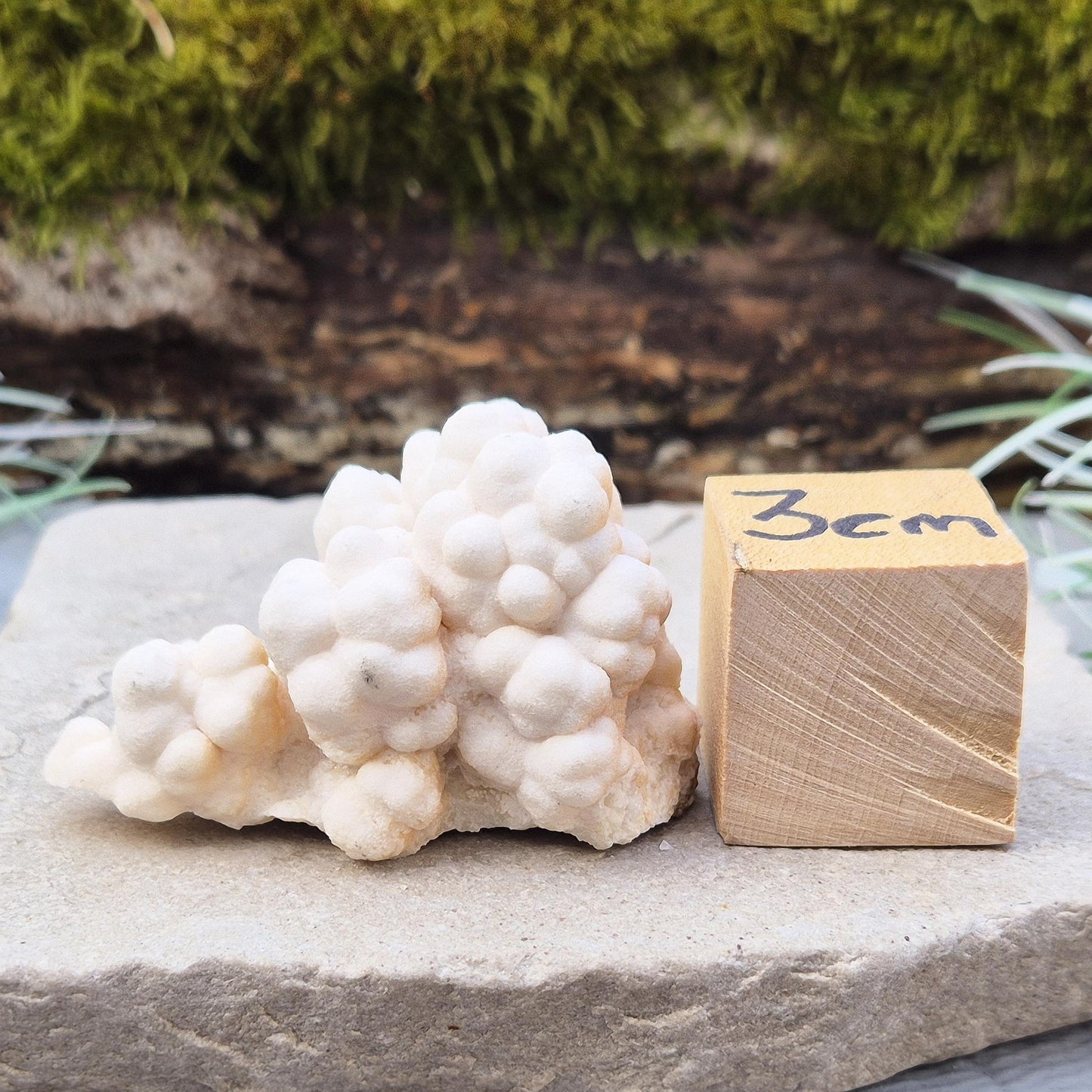 Cave Calcite Crystal, Natural Aragonite Cluster