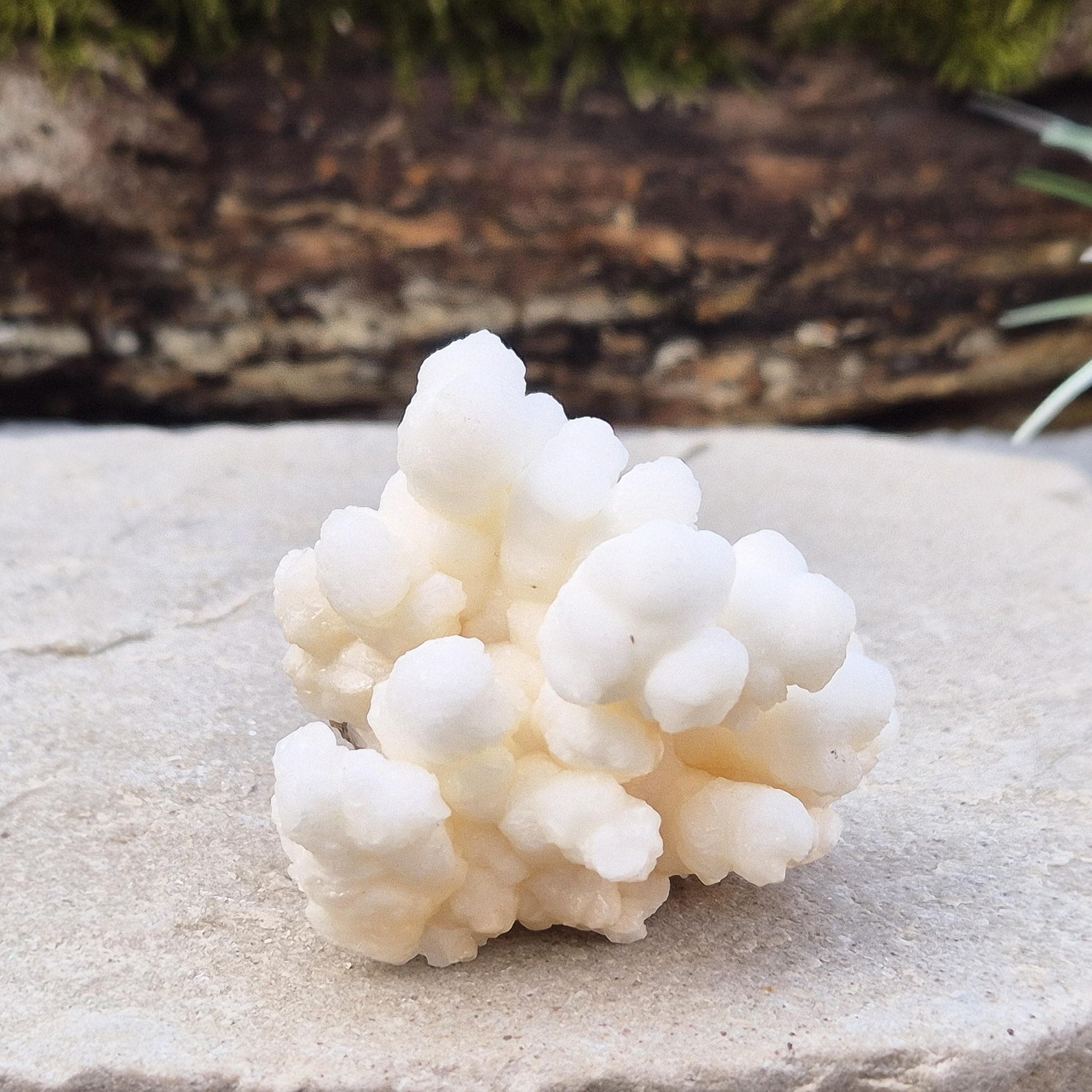 Stunning natural cave calcite: unique crystal formation with earthy hues, promoting clarity, grounding, and calming energy. Perfect for collectors.