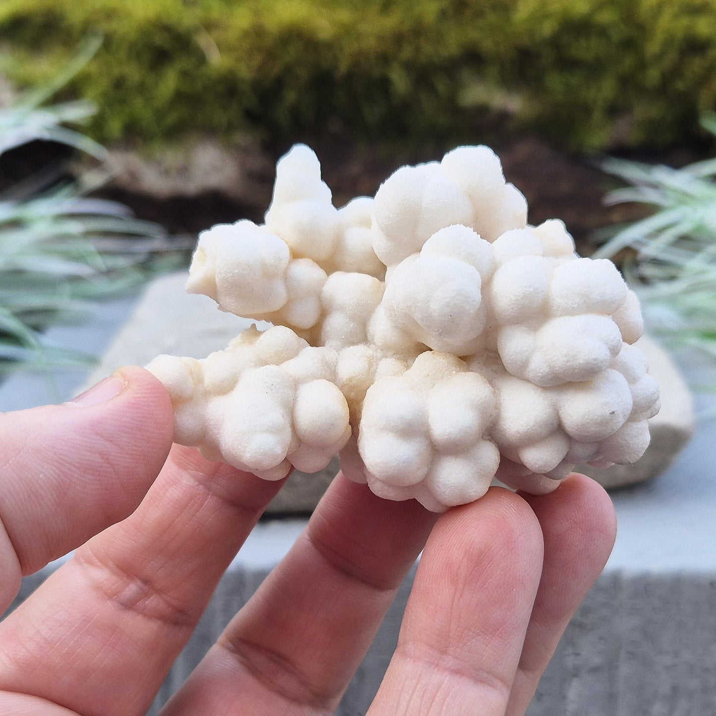 Cave Calcite Crystal, Natural Aragonite Cluster