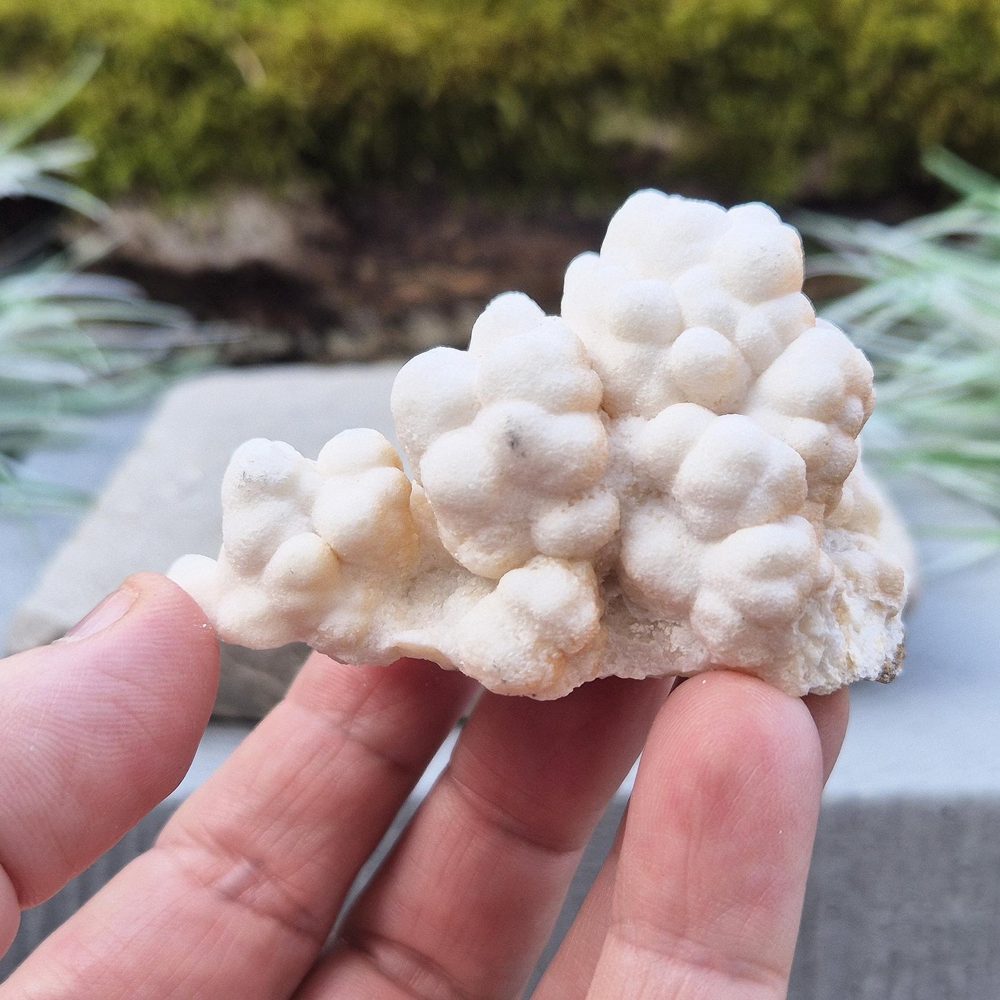 Cave Calcite Crystal, Natural Aragonite Cluster