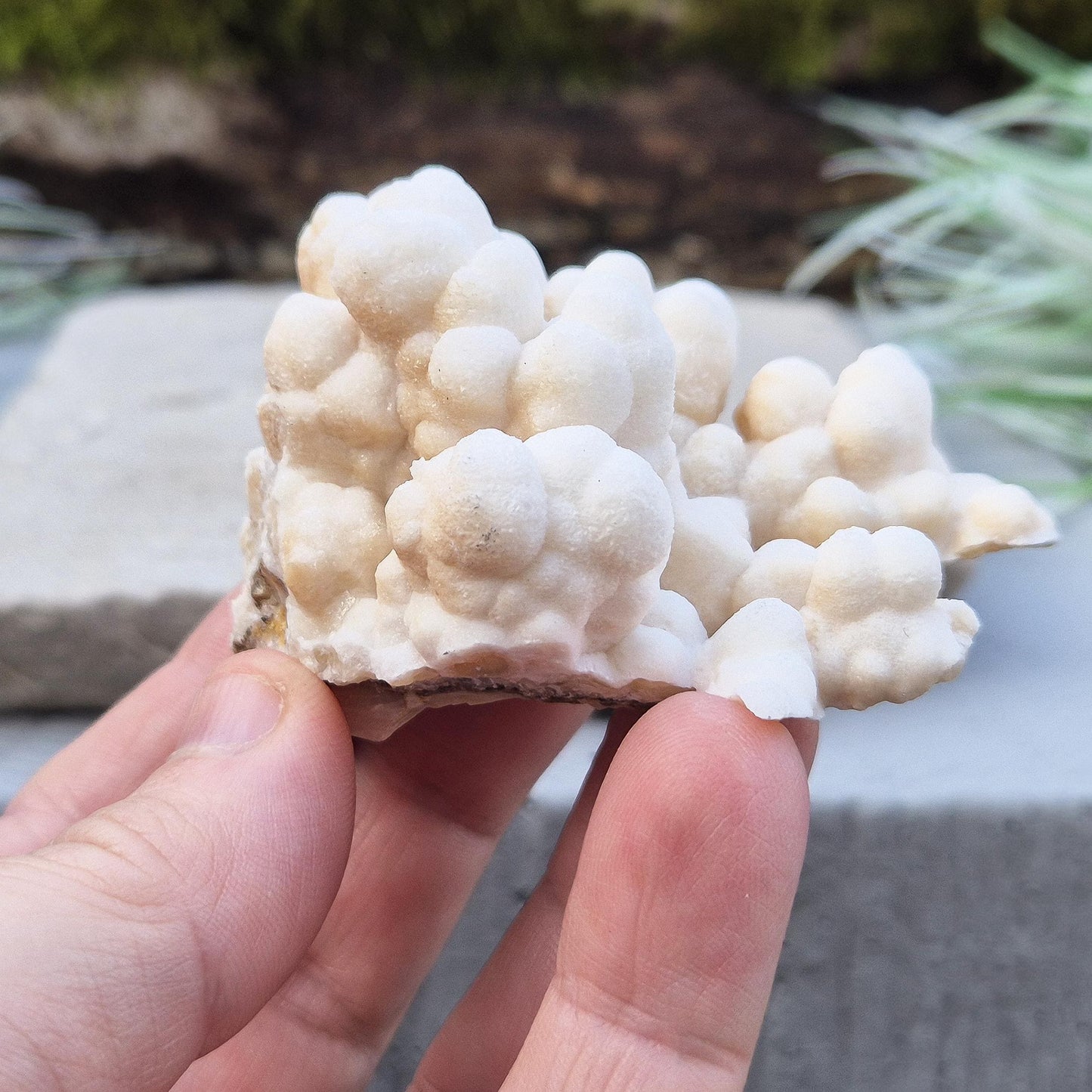 Cave Calcite Crystal, Natural Aragonite Cluster