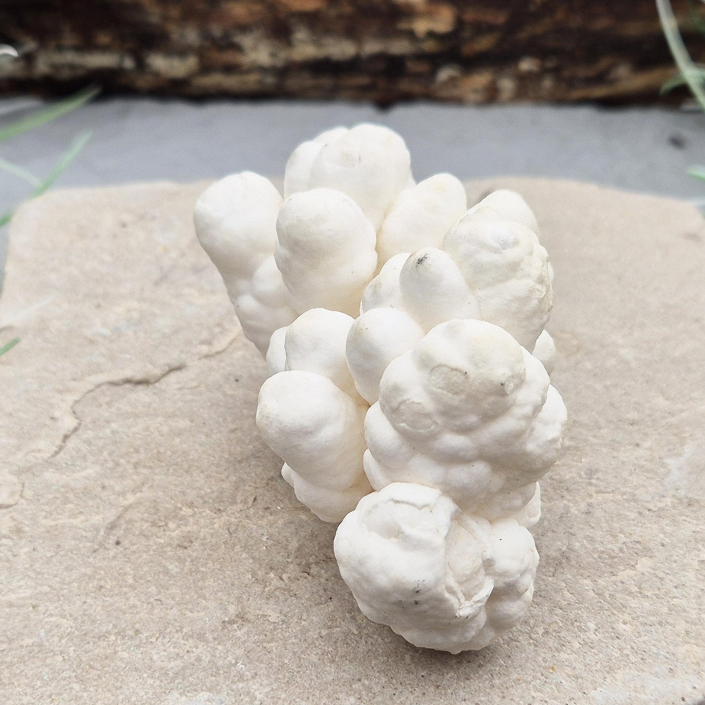 Cave Calcite Crystal, Natural Authentic Crystal, White Aragonite