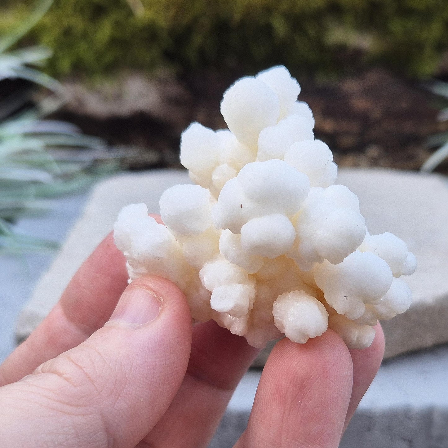 Cave Calcite Crystal Cluster, Natural Aragonite Crystal, Cave Popcorn