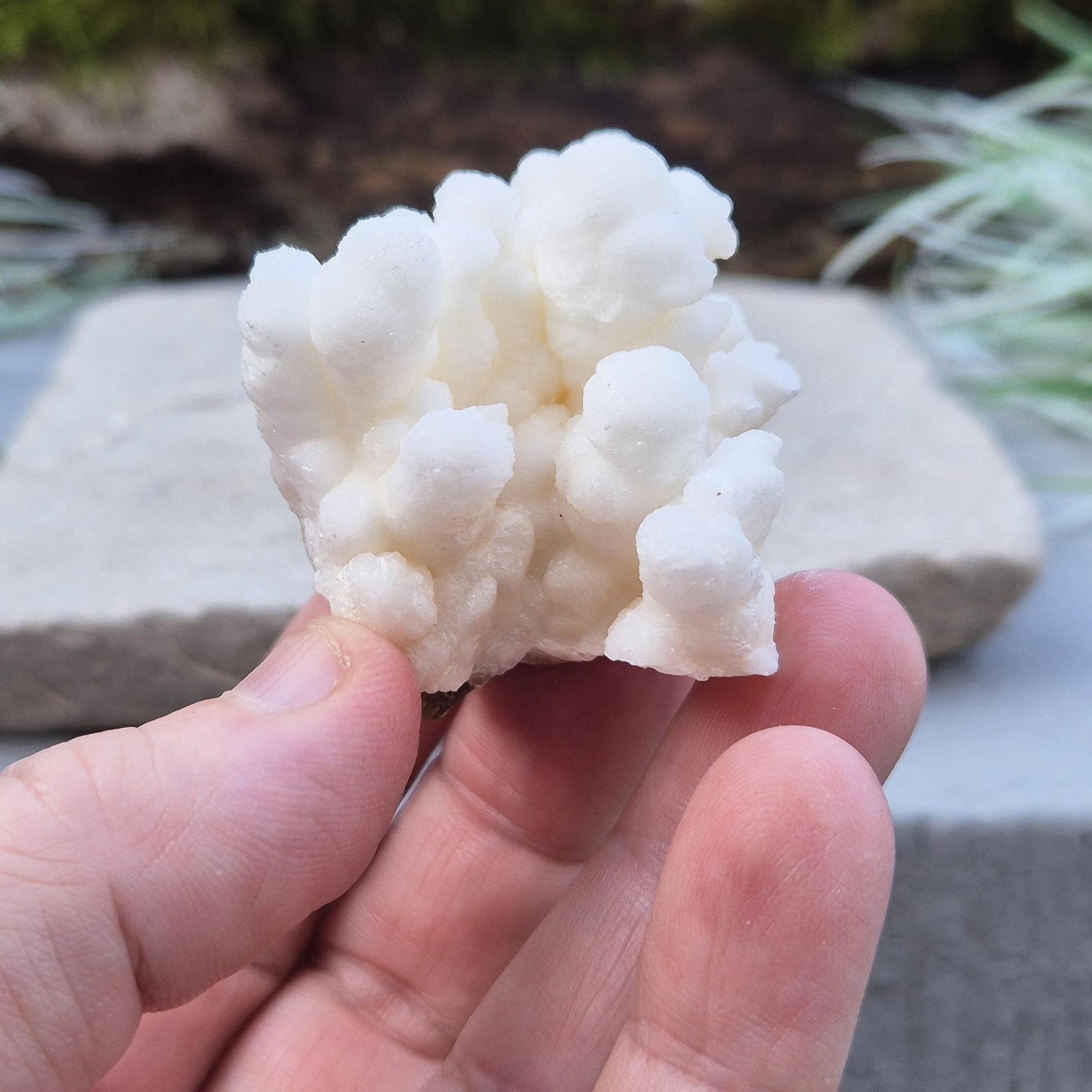 Cave Calcite Crystal, Cave Popcorn