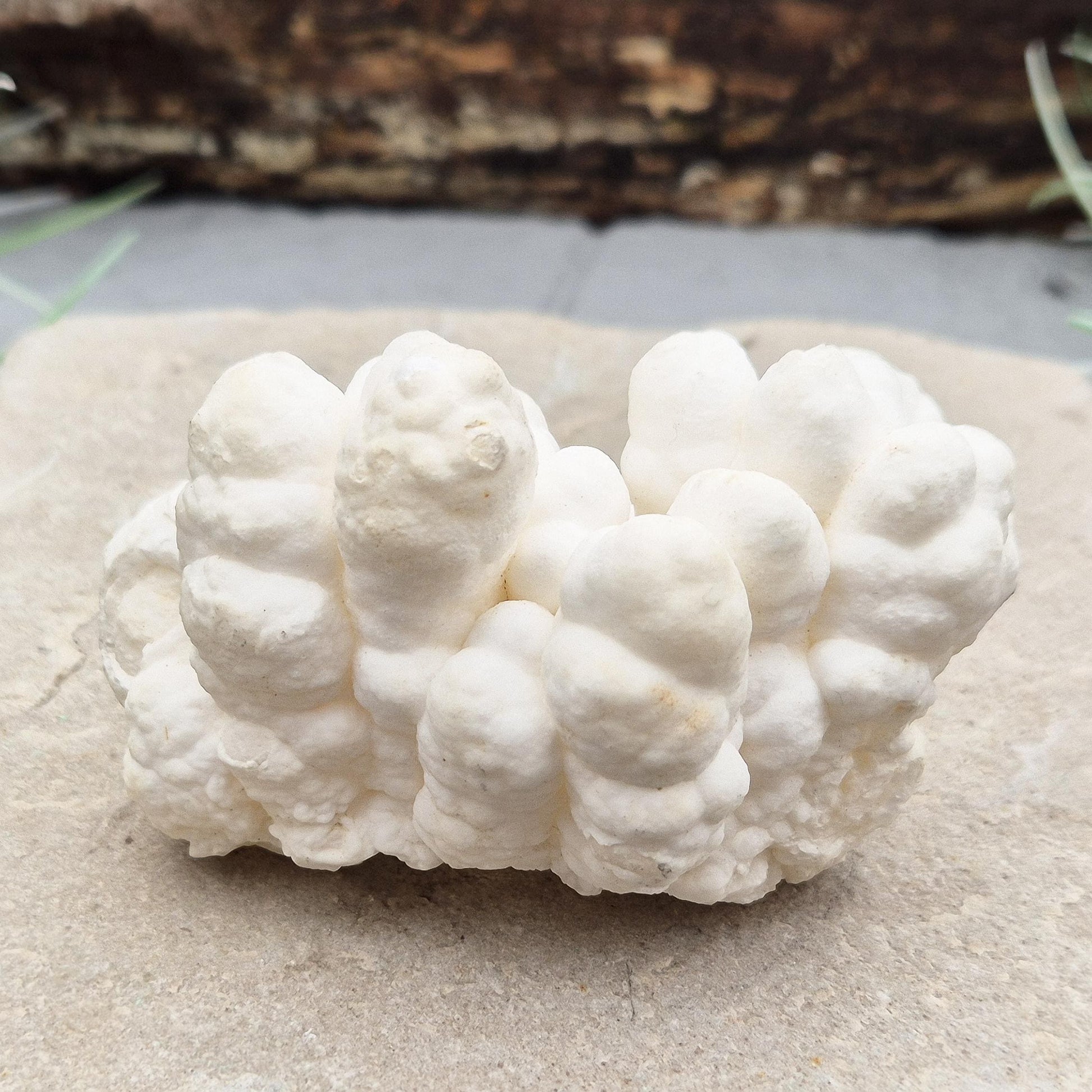 Stunning natural cave calcite: unique crystal formation with earthy hues, promoting clarity, grounding, and calming energy. Perfect for collectors.