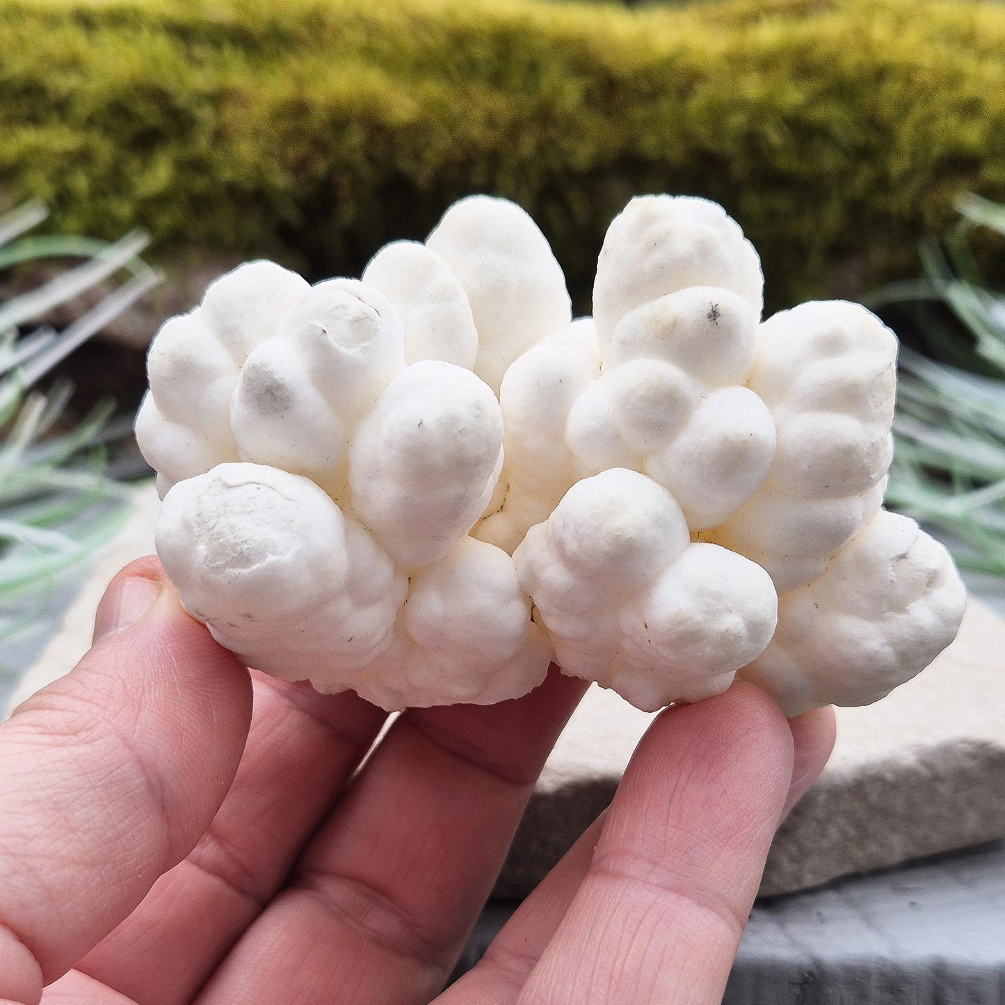 Cave Calcite Crystal, Natural White Aragonite