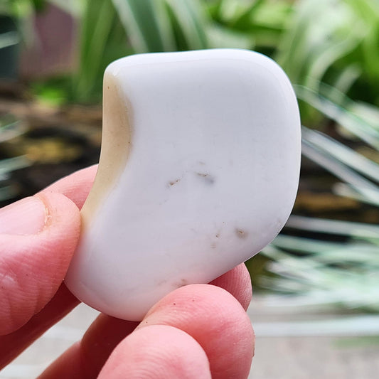 Cacholong Opal – Rare Polished White Opal | Crystal Collectors