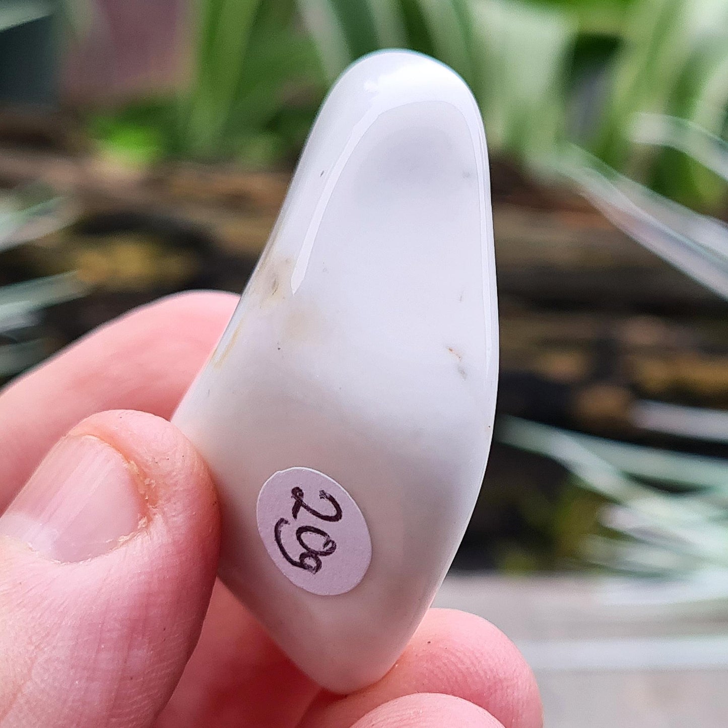 Cacholong Opal – Rare Polished White Opal | Crystal Collectors