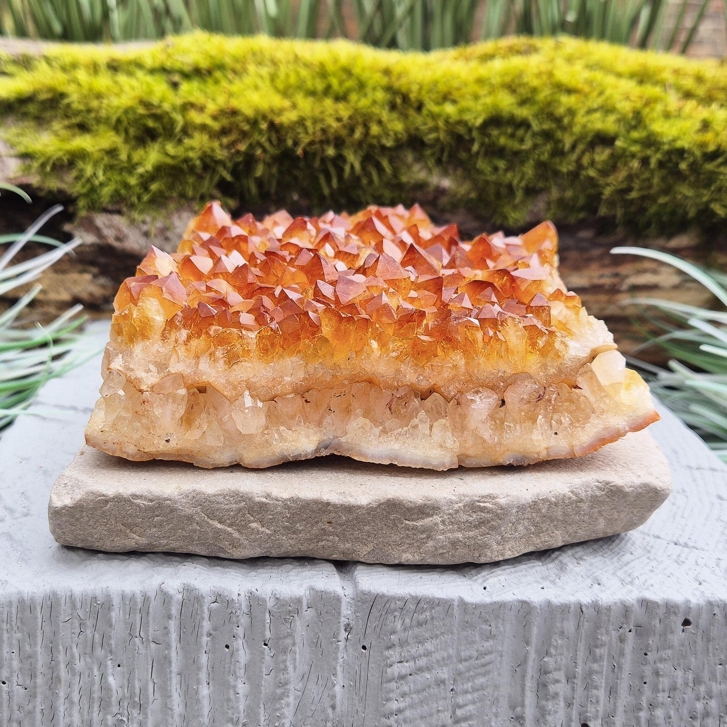 Citrine Crystal Cluster – Natural Statement Piece for Home Décor