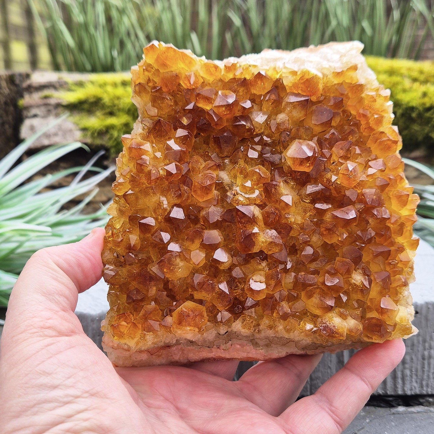 Citrine Crystal Cluster – Natural Statement Piece for Home Décor