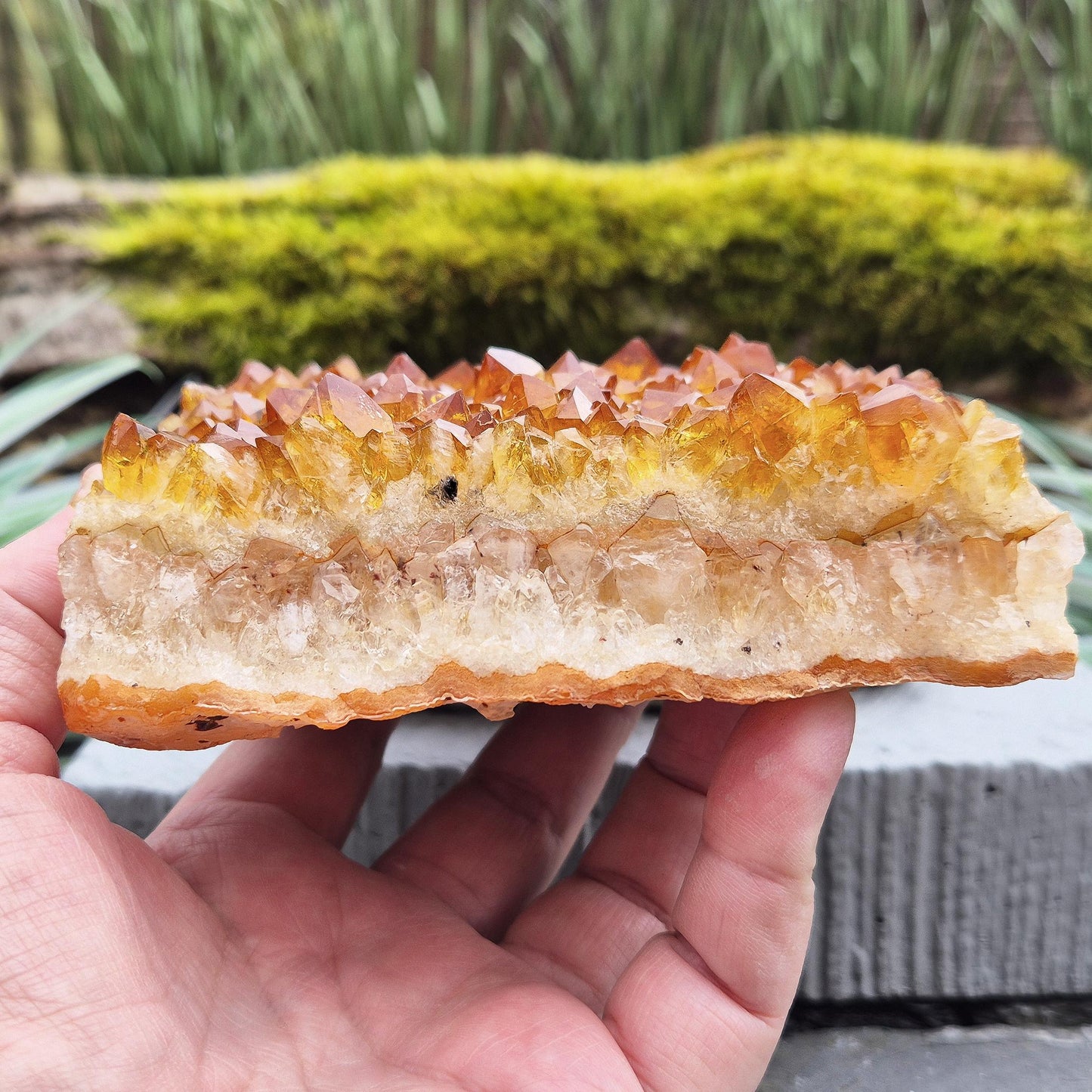 Citrine Crystal Cluster – Natural Statement Piece for Home Décor