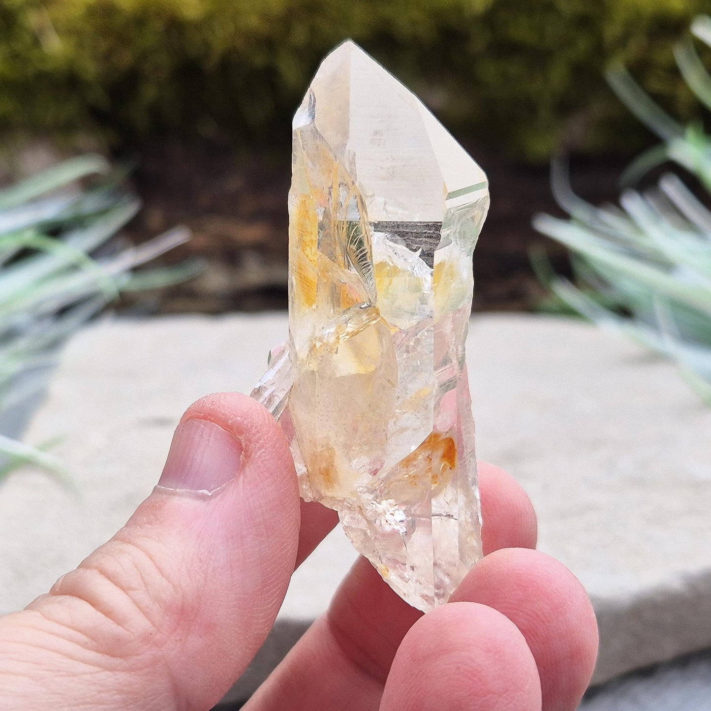 Blade of Light Quartz Crystal - Rare Colombian Lemurian Quartz | Spiritual Gemstone