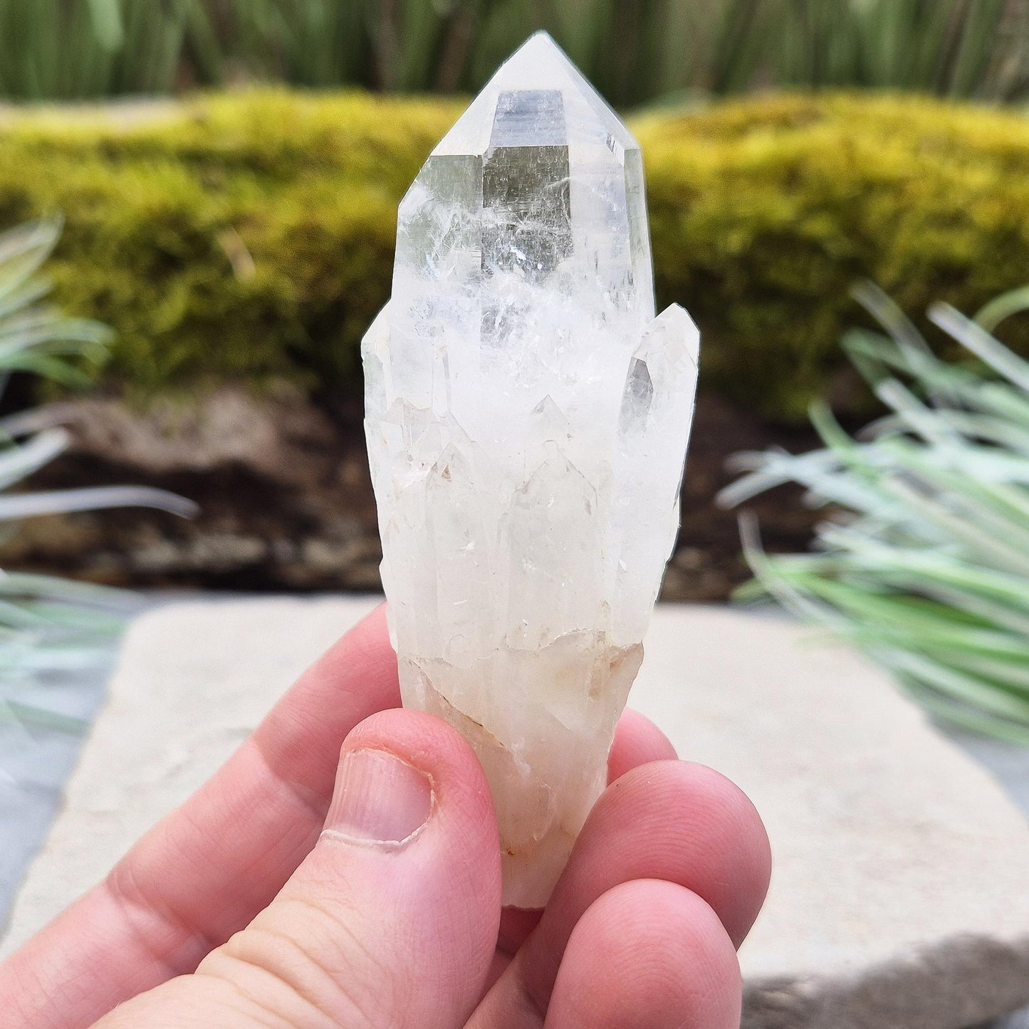 Quartz Crystal Point, Natural 'Pineapple' Formation