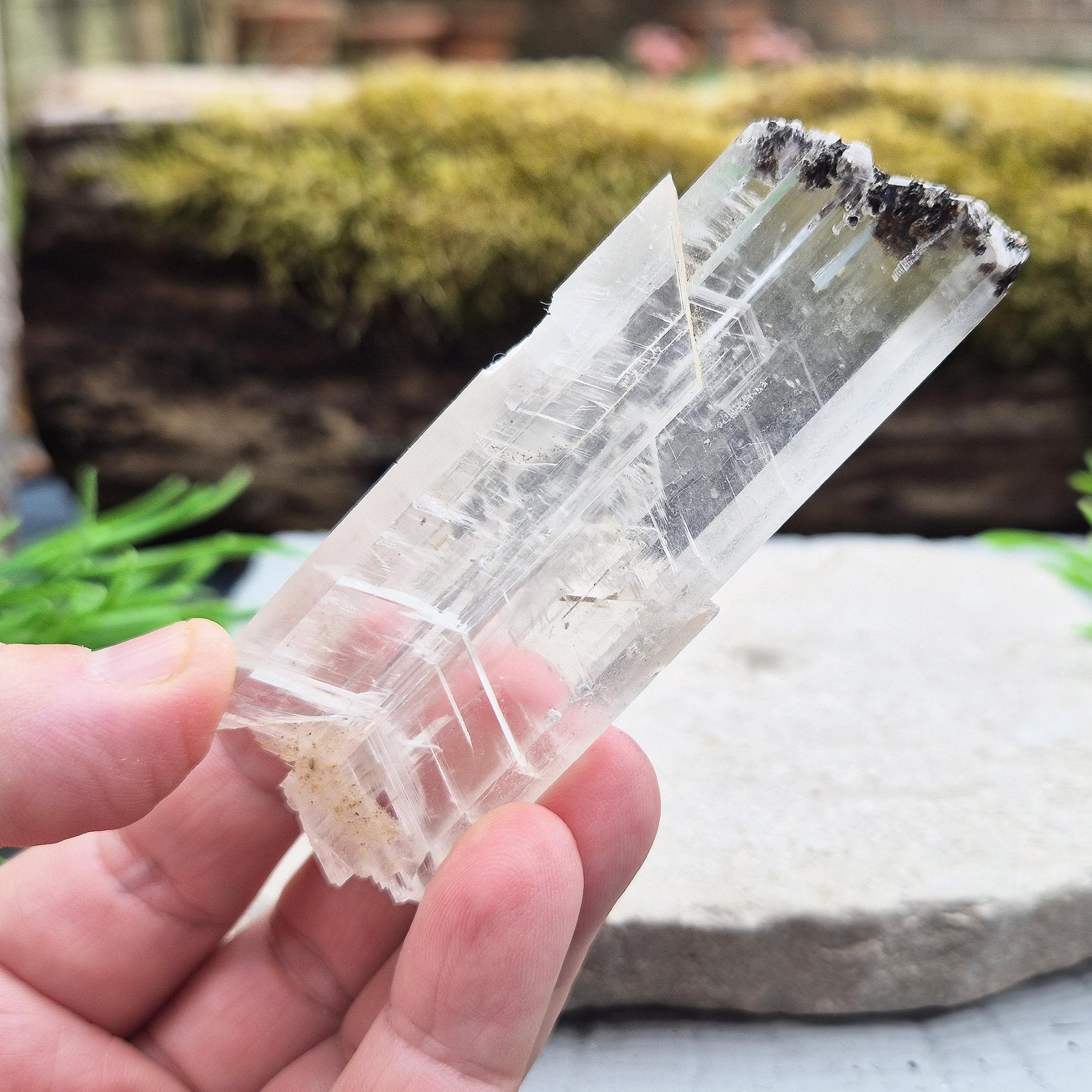 Natural gypsum wand from Mexico. A focused energy tool for clearing, calm, and spiritual reset. Light, smooth, and intuitively powerful.