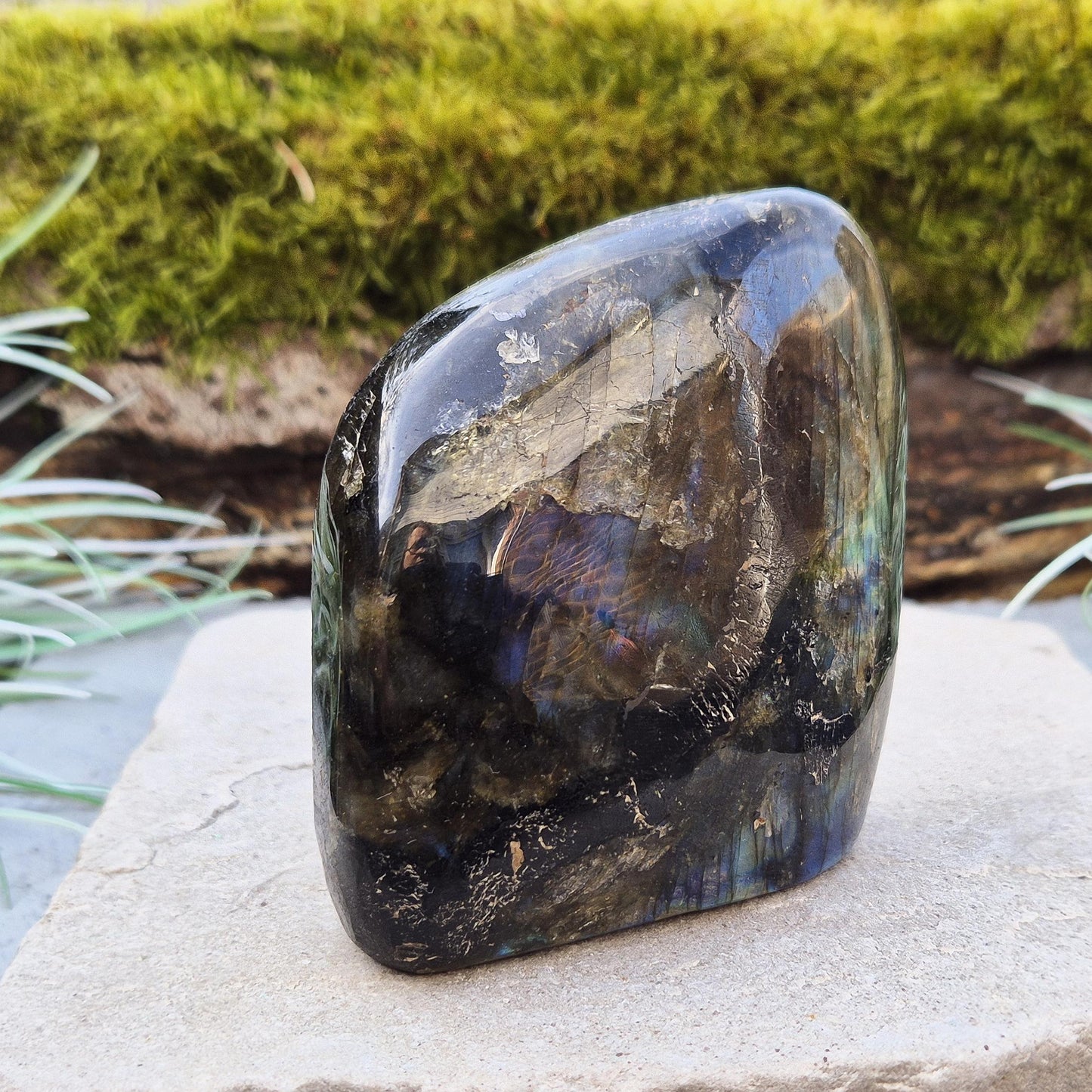 Labradorite Free Form, Self Standing Crystal | Spiritual Home Decor | Flashy Labradorite