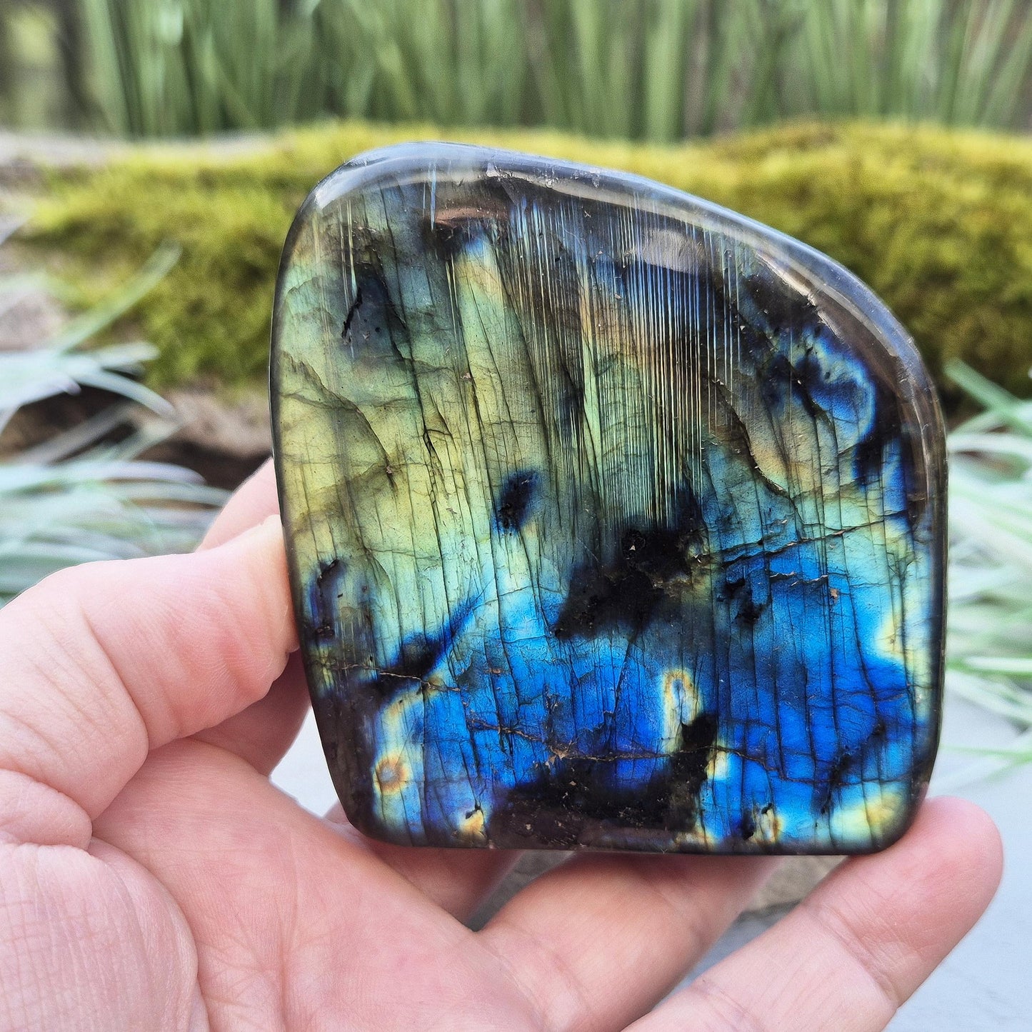 Labradorite freeform—mesmerizing flashes of blue, gold & green. A powerful stone for intuition, protection & transformation. Unique & high-energy.