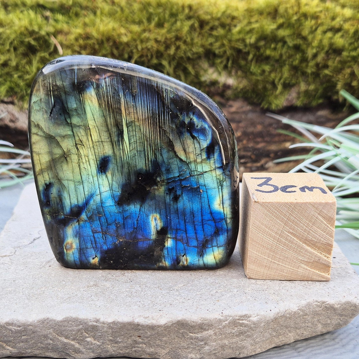 Labradorite Free Form, Self Standing Crystal | Spiritual Home Decor | Flashy Labradorite