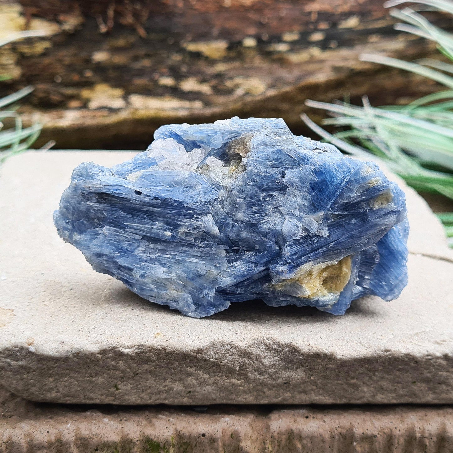 Blue Kyanite Crystal Cluster, Natural Kyanite Blades with Quartz