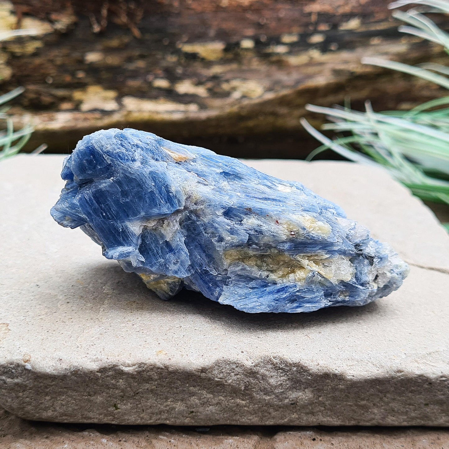 Blue Kyanite Crystal Cluster, Natural Kyanite Blades with Quartz