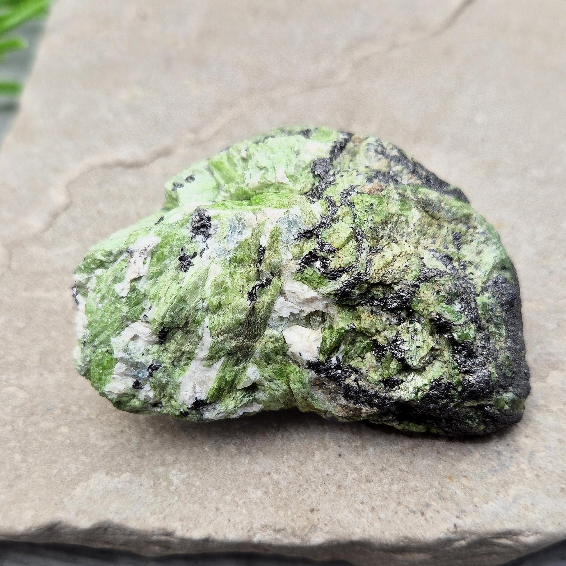 Rare Natural Green Tremolite Crystal, Merelani Tanzania — supports emotional clarity, healing from grief, and connects you to inner strength and heart energy.