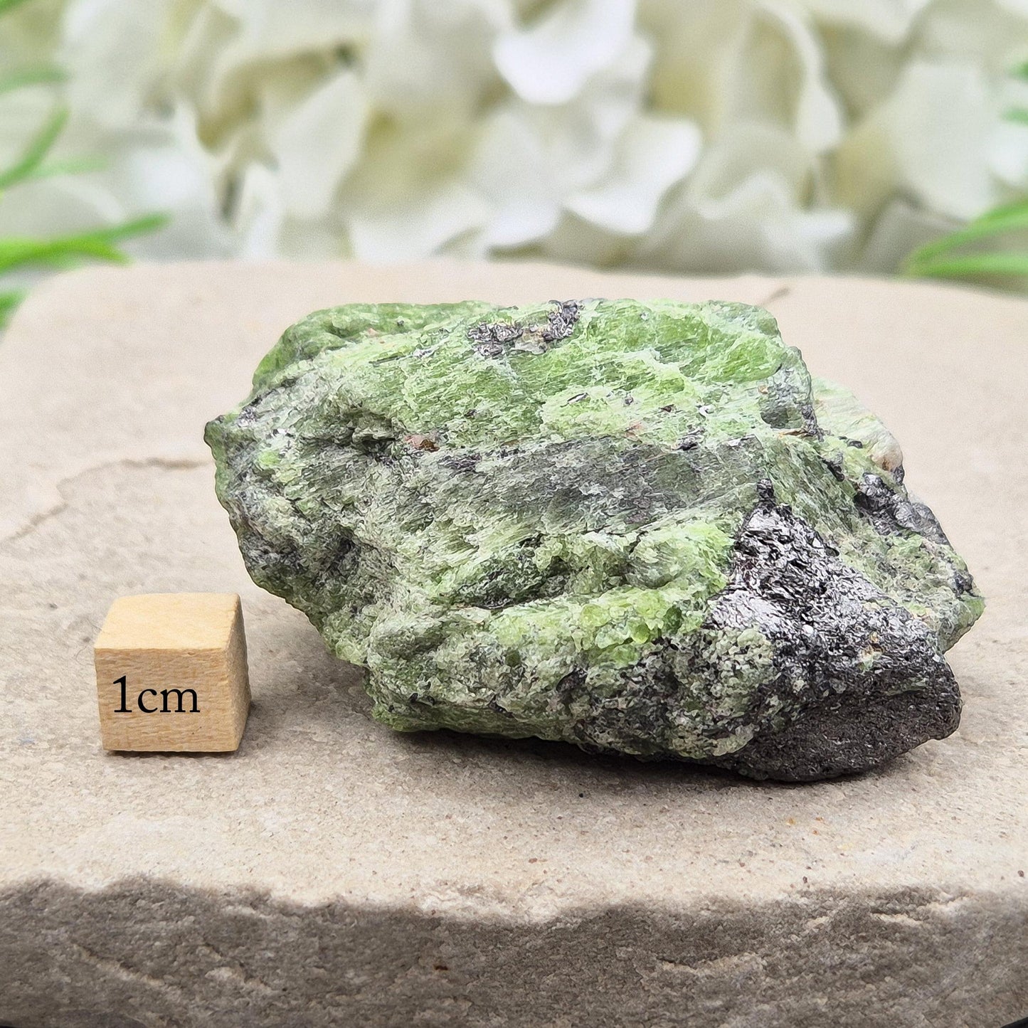 Natural Green Tremolite, Merelani Hills, Tanzania — a rare, high-vibration crystal for heart chakra healing, emotional release, and gentle energetic awakening.