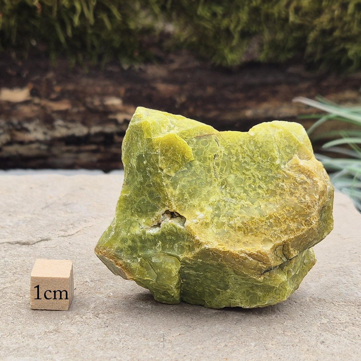 Green opal crystal pieces soothe the mind, clear negativity & inspire fresh starts. Ideal for healing, harmony & heart work.