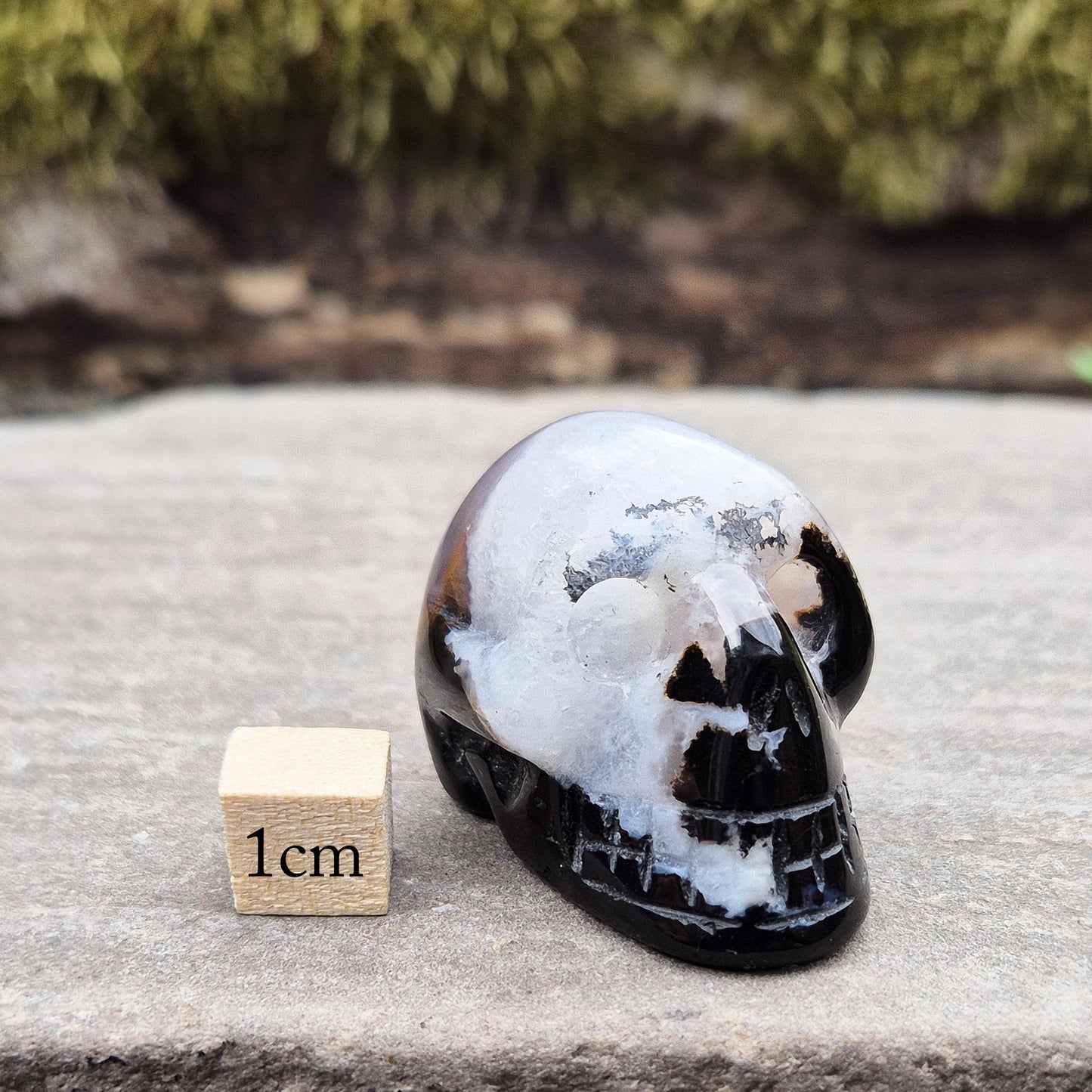 Polished Sardonyx and Jasper Skull from Brazil for wisdom, clarity, and protection. Connects you to ancestral strength and inner guidance. 