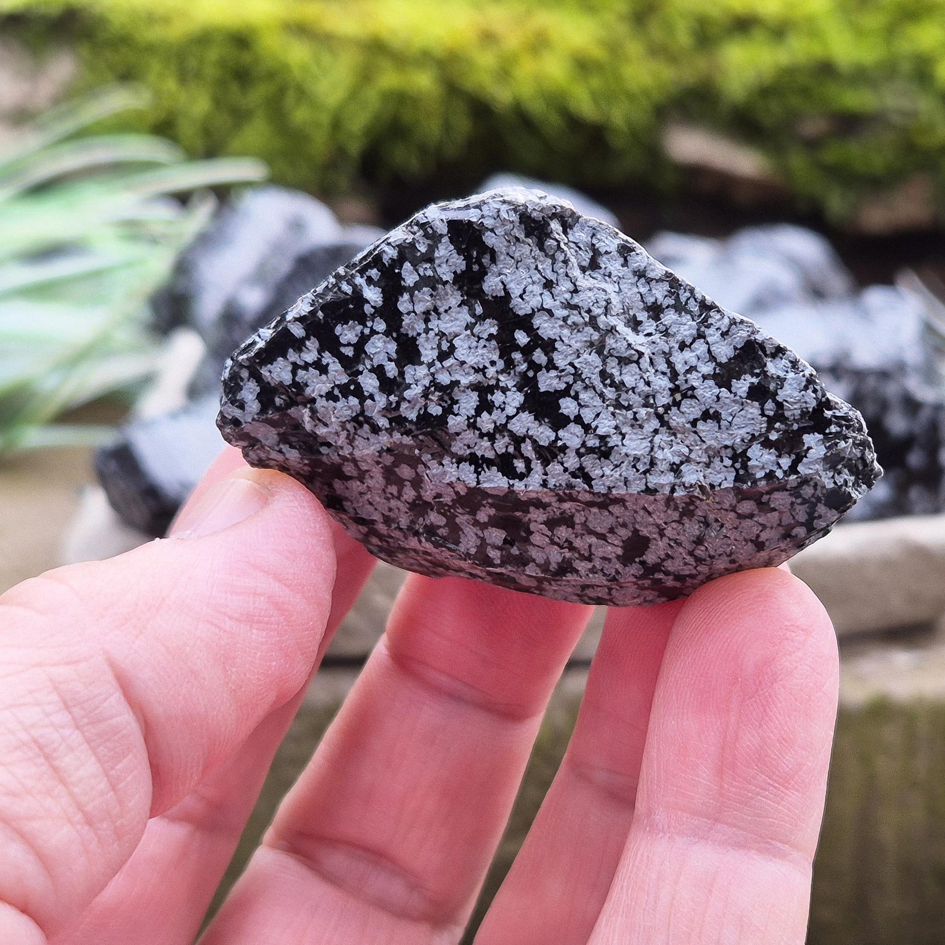 Raw Snowflake Obsidian stone, ideal for clearing mental clutter. A must-have for crystal lovers, healers and collectors.