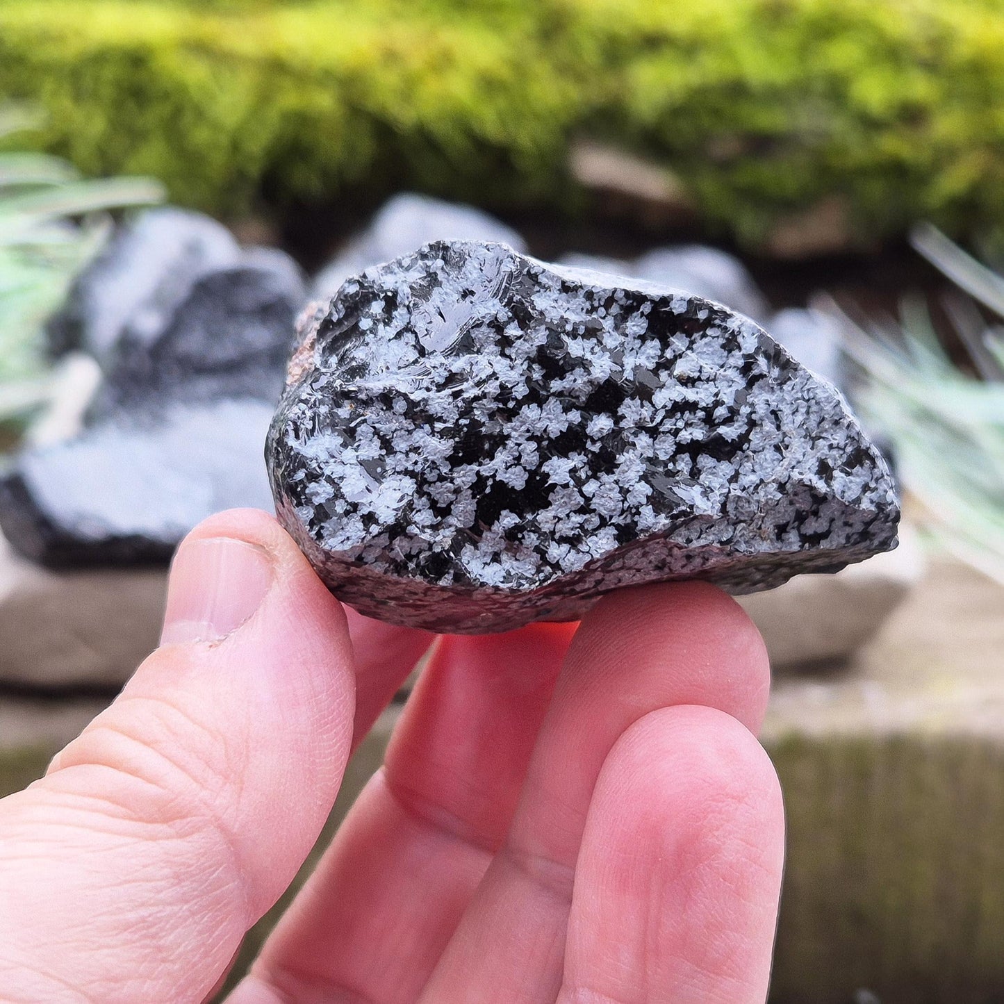 Raw Snowflake Obsidian stone, ideal for clearing mental clutter. A must-have for crystal lovers, healers and collectors.