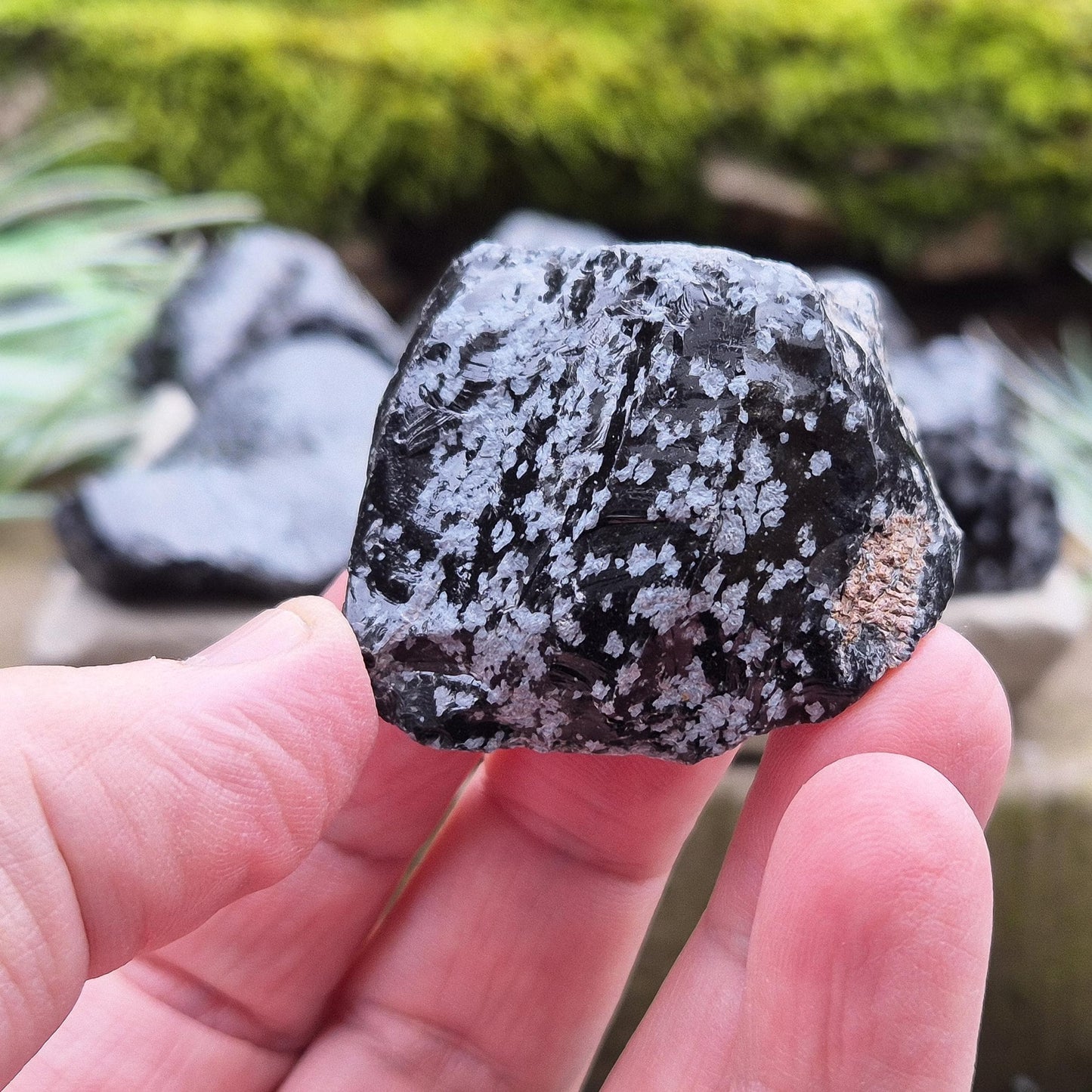 Raw Snowflake Obsidian stone, ideal for clearing mental clutter. A must-have for crystal lovers, healers and collectors.