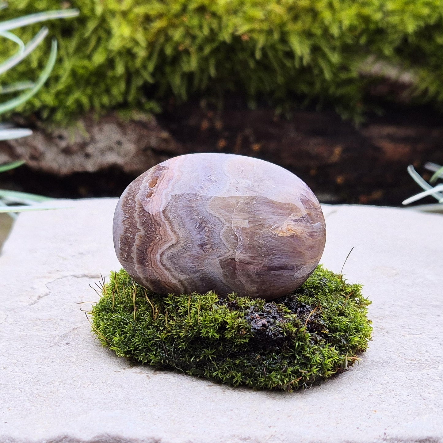 Amethyst and Jasper Crystal Palm Stone | Carry With You | Display With Other Crystals
