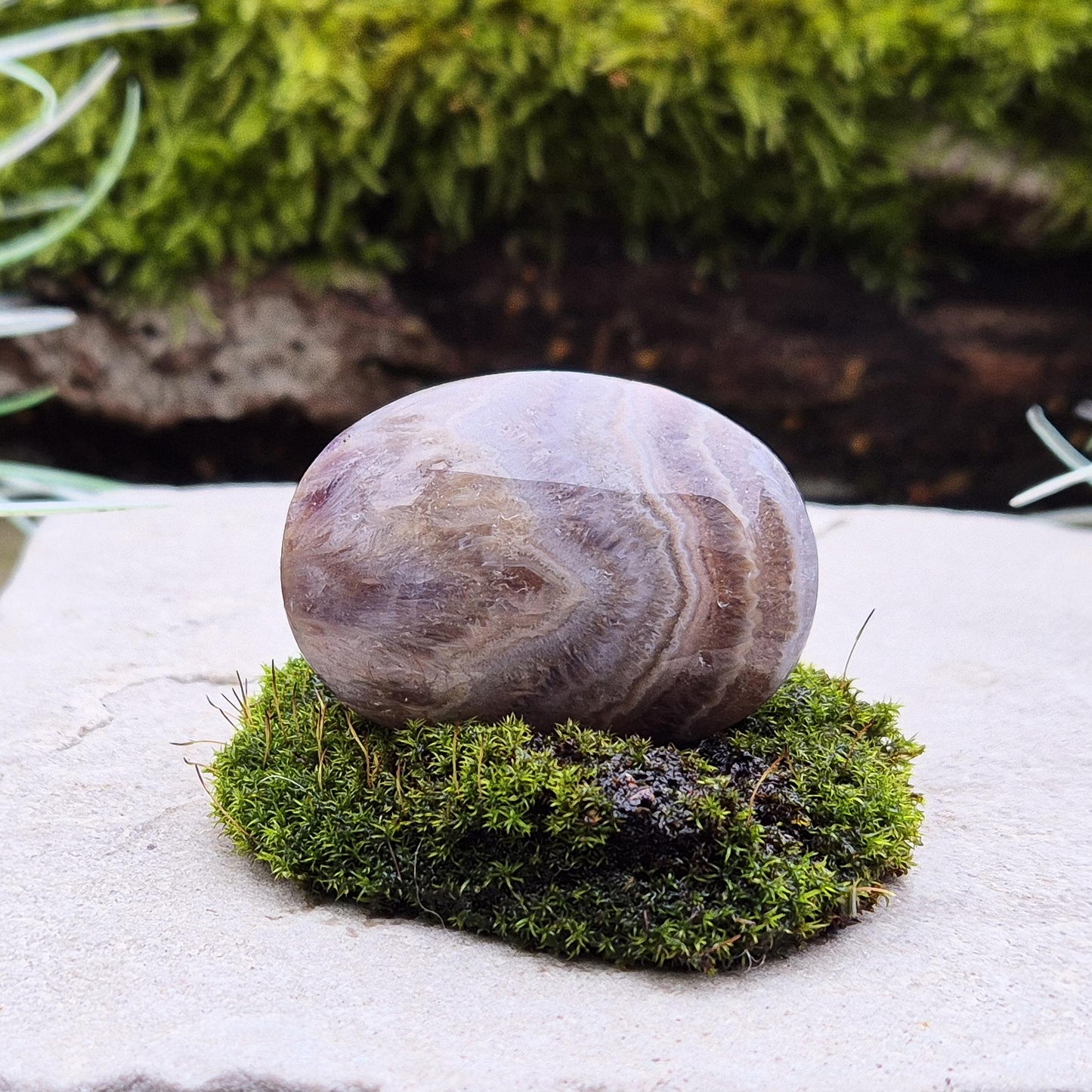 Amethyst and Jasper Crystal Palm Stone | Carry With You | Display With Other Crystals