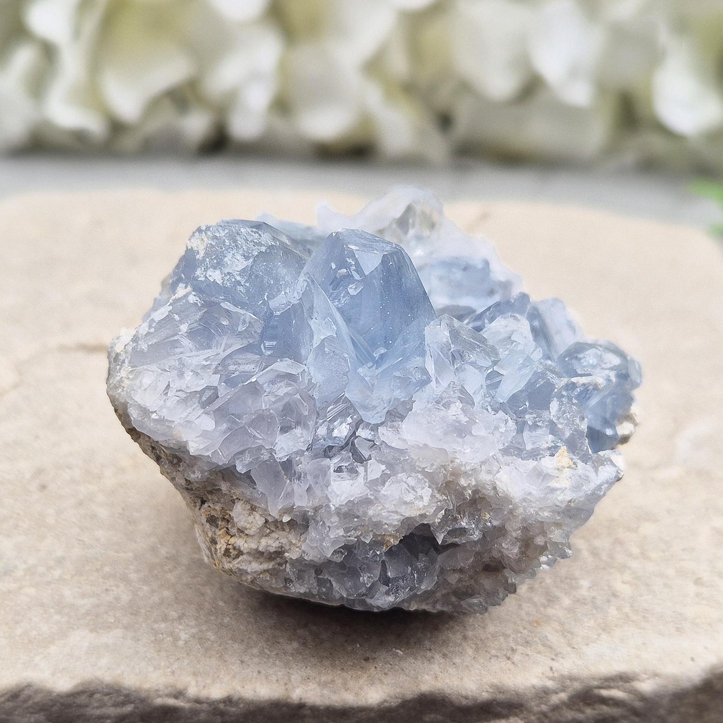 Celestite Crystal Cluster, Natural Blue Celestine Gemstone