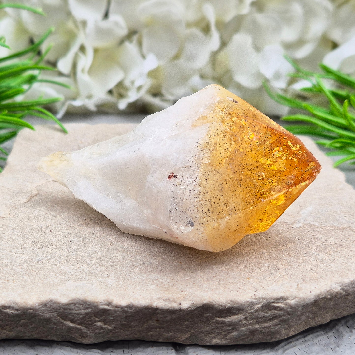 Citrine Crystal teeth. A joyful stone of abundance that boosts confidence, creativity, focus, and balances Solar Plexus & Sacral chakras.