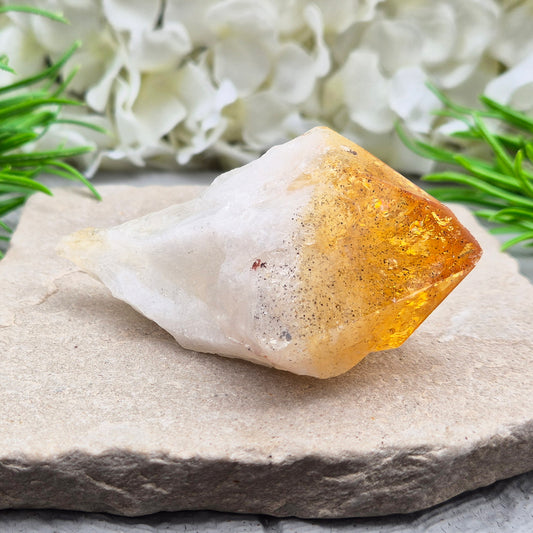 Citrine Crystal teeth. A joyful stone of abundance that boosts confidence, creativity, focus, and balances Solar Plexus & Sacral chakras.