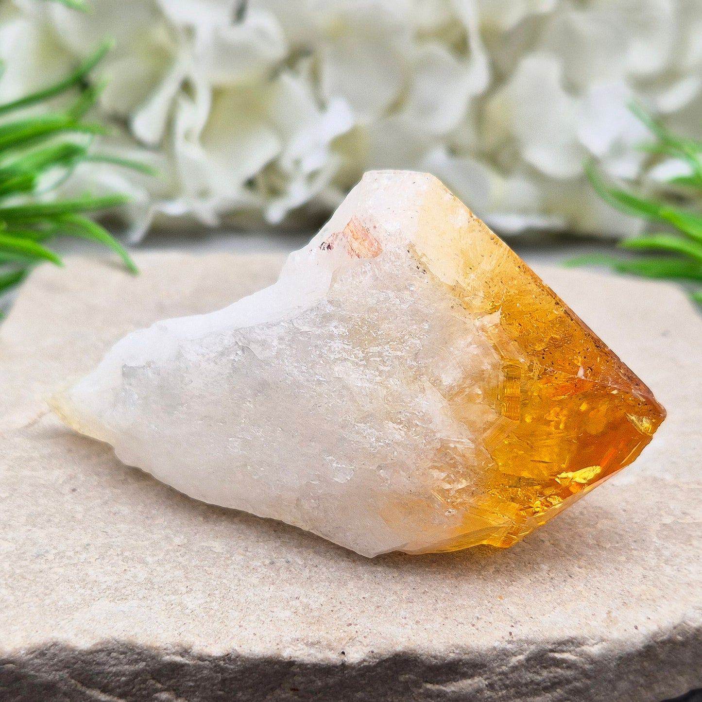 Citrine Crystal teeth. A joyful stone of abundance that boosts confidence, creativity, focus, and balances Solar Plexus & Sacral chakras.