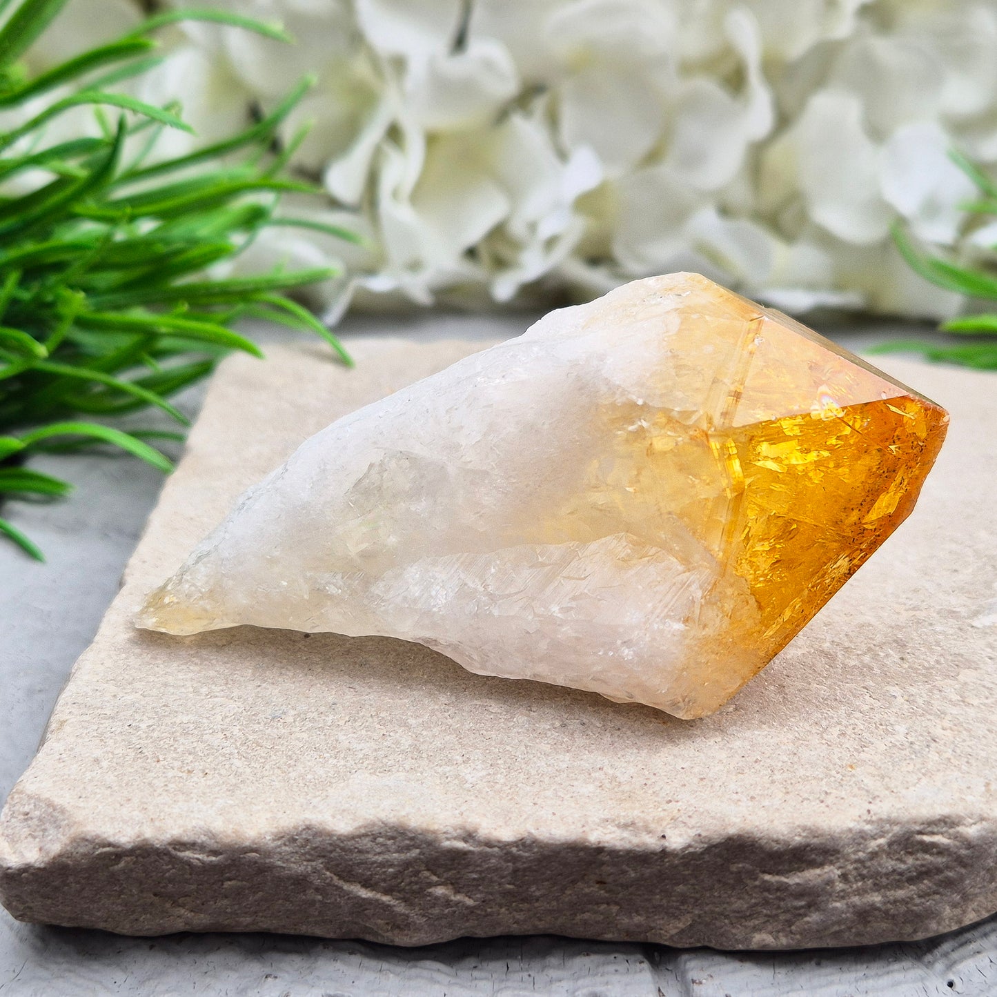 Citrine Crystal teeth. A joyful stone of abundance that boosts confidence, creativity, focus, and balances Solar Plexus & Sacral chakras.