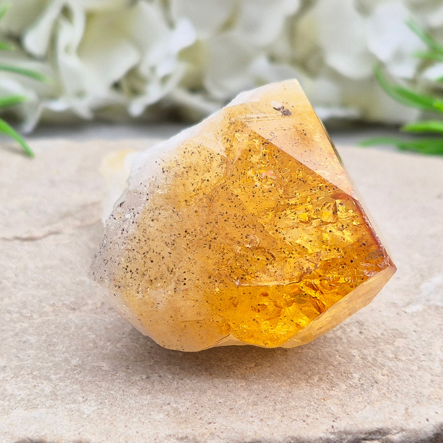 Citrine Crystal teeth. A joyful stone of abundance that boosts confidence, creativity, focus, and balances Solar Plexus & Sacral chakras.