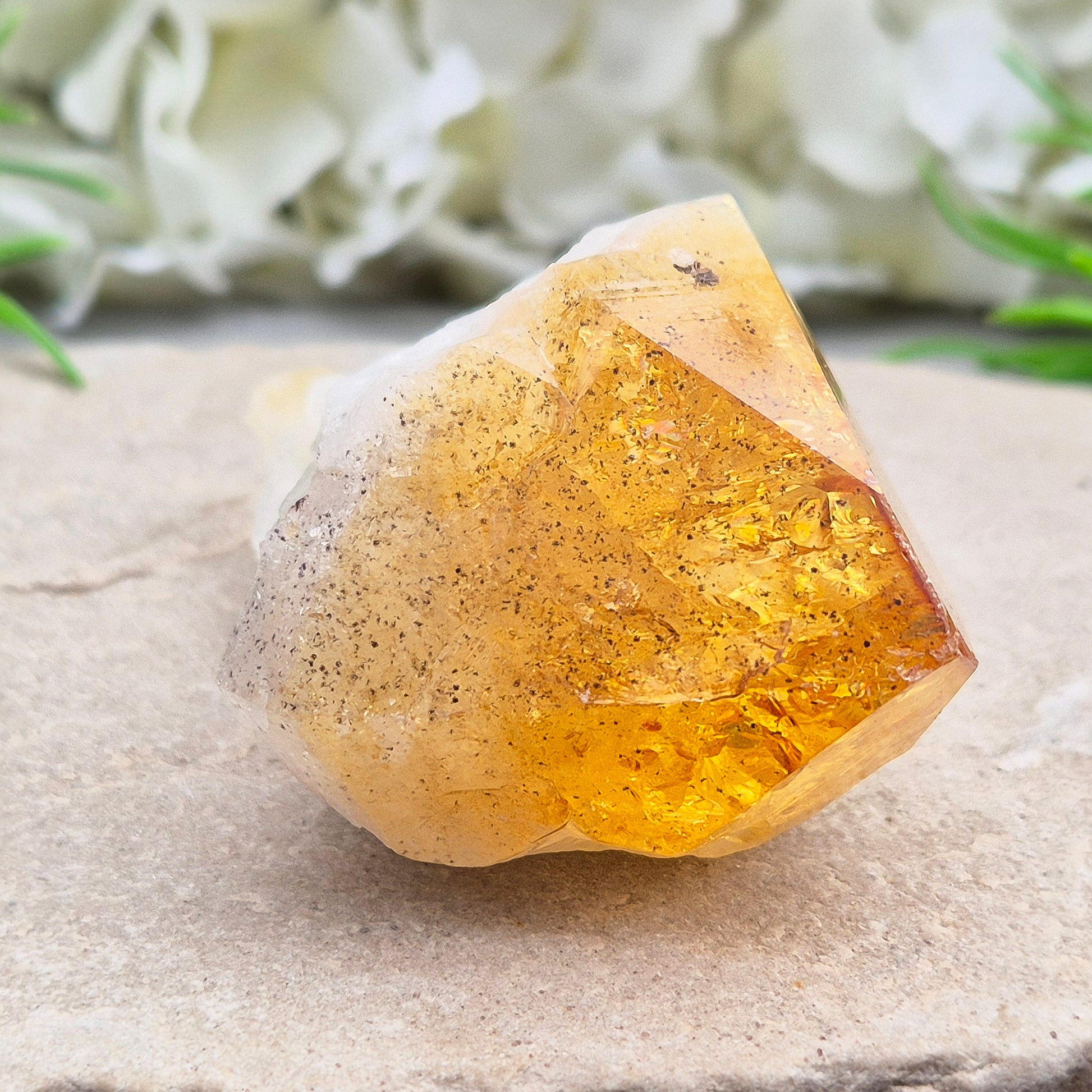 Citrine Crystal teeth. A joyful stone of abundance that boosts confidence, creativity, focus, and balances Solar Plexus & Sacral chakras.